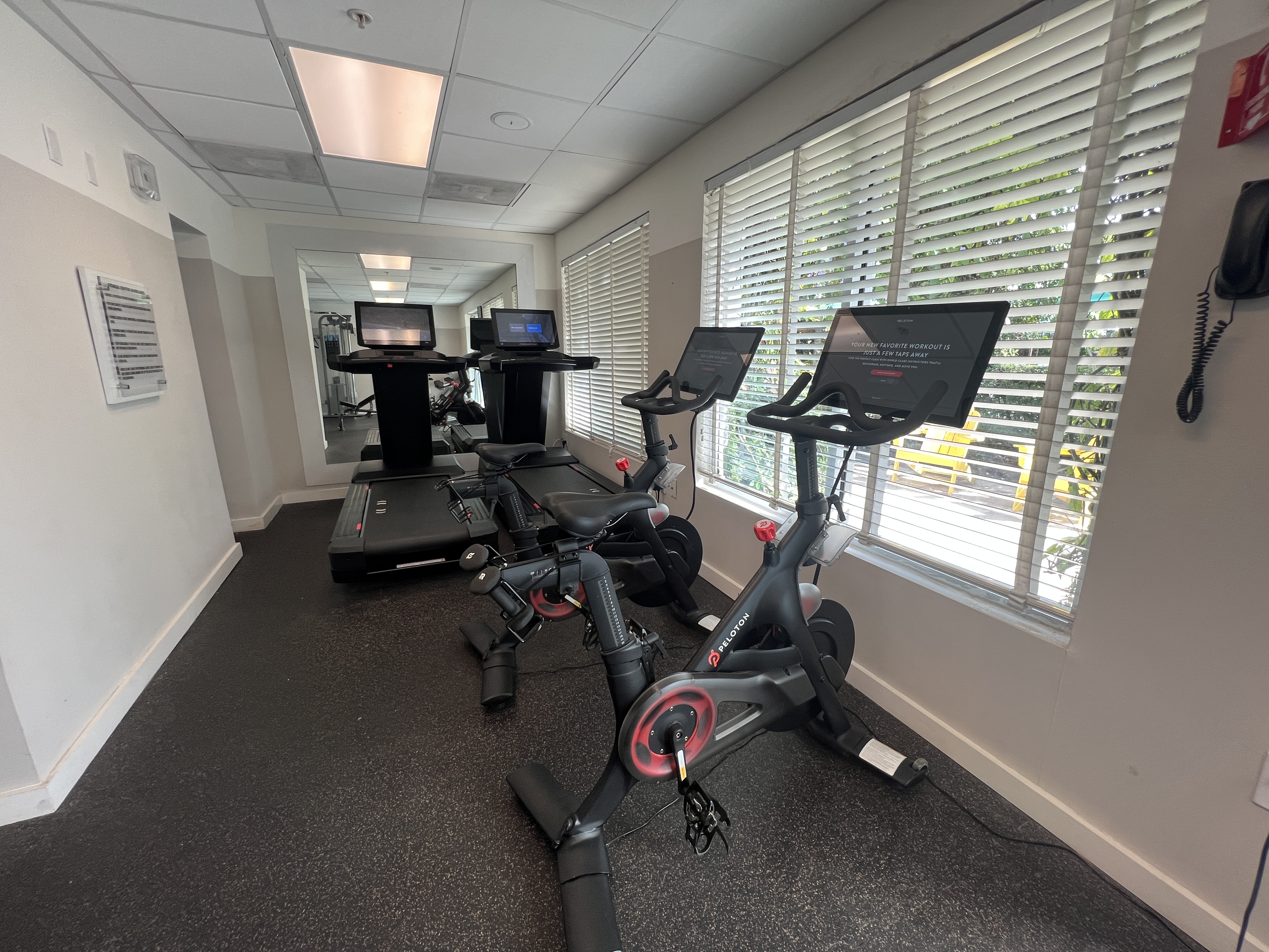 Kimpton Surfcomber Peloton Bikes and Treadmills