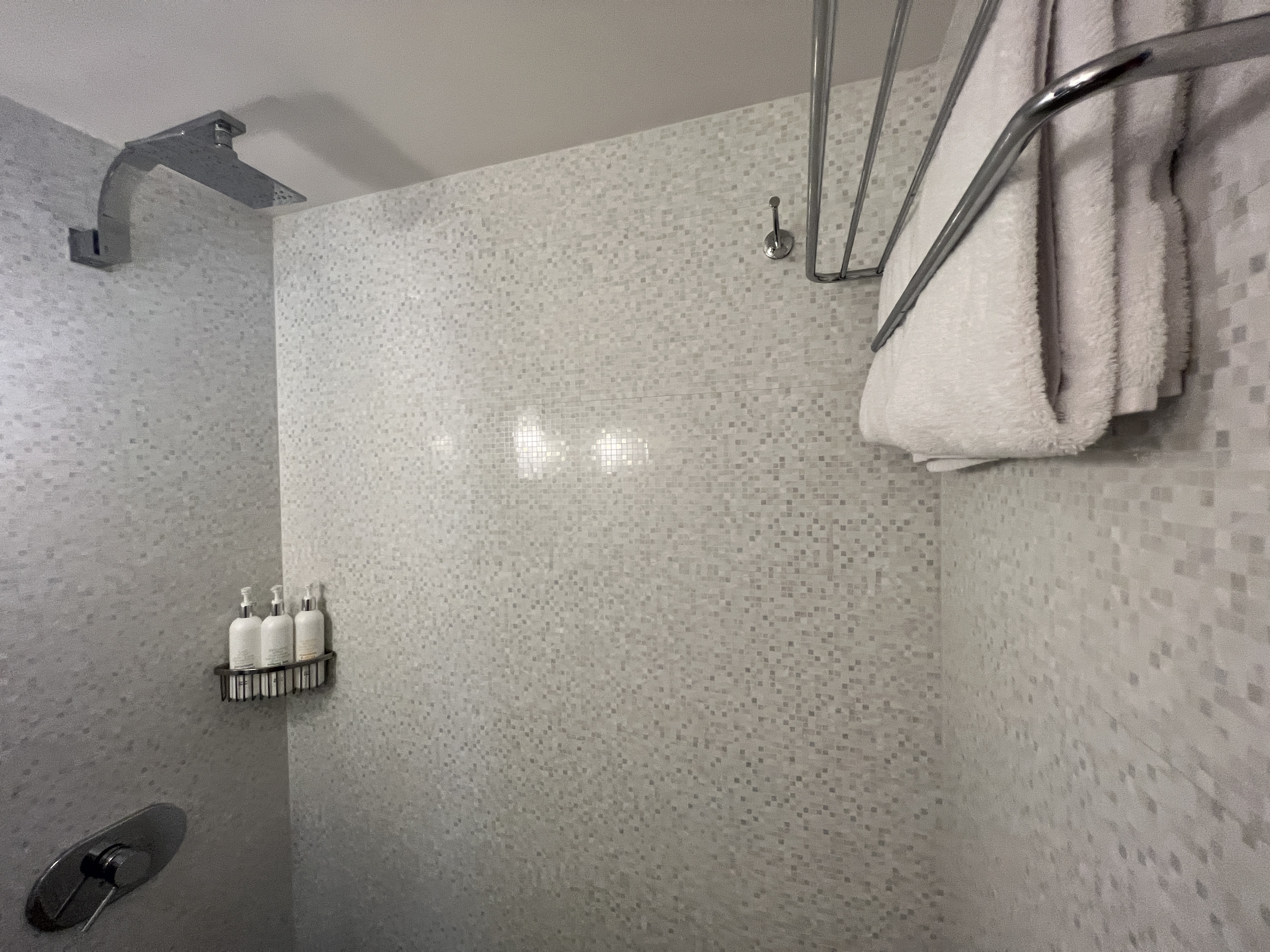 Kimpton Surfcomber Shower rainfall head