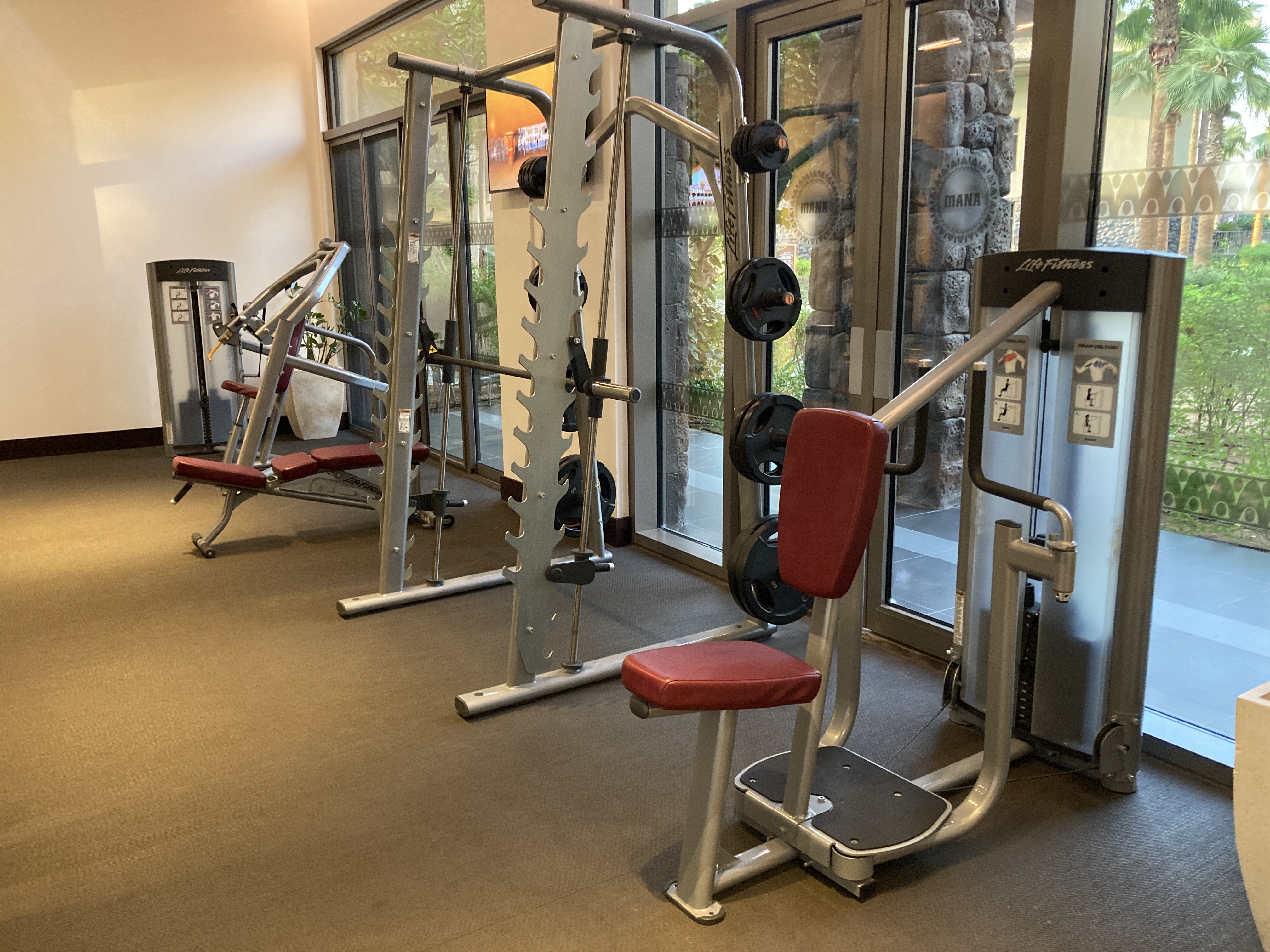 Lapita Dubai Parks and Resorts Autograph Collection gym weights Lapita Dubai Parks and Resorts Autograph Collection gym weights