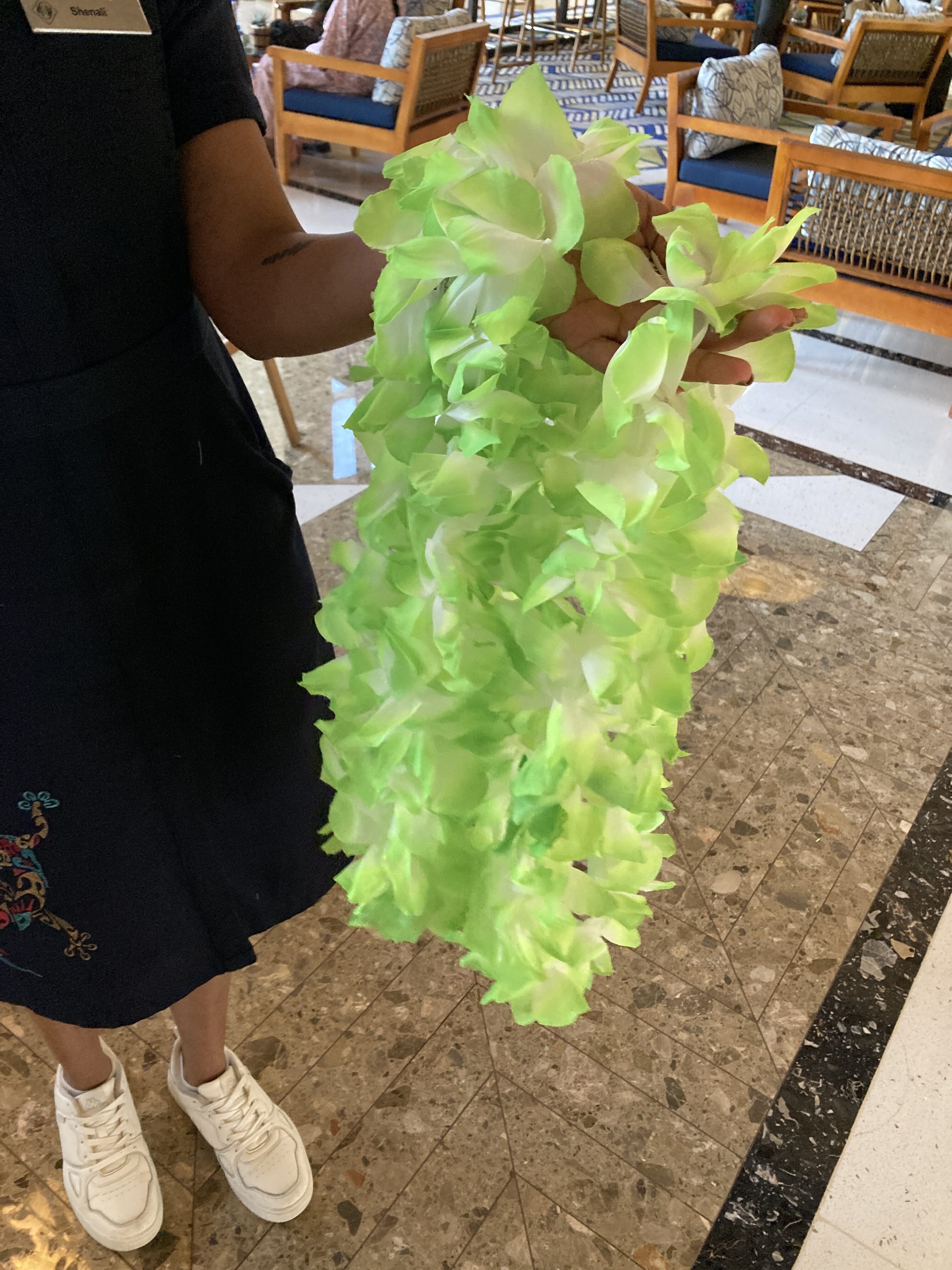 Lapita Dubai Parks and Resorts Autograph Collection leis Lapita Dubai Parks and Resorts Autograph Collection leis
