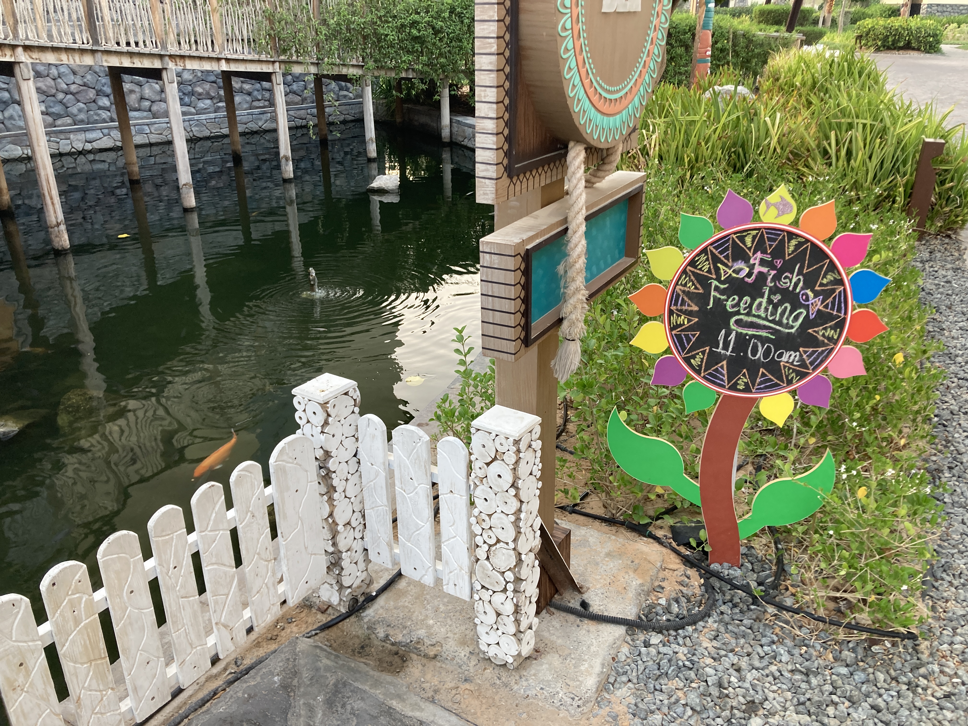 Lapita Dubai Parks and Resorts Autograph Collection spa fish feeding Lapita Dubai Parks and Resorts Autograph Collection spa fish feeding