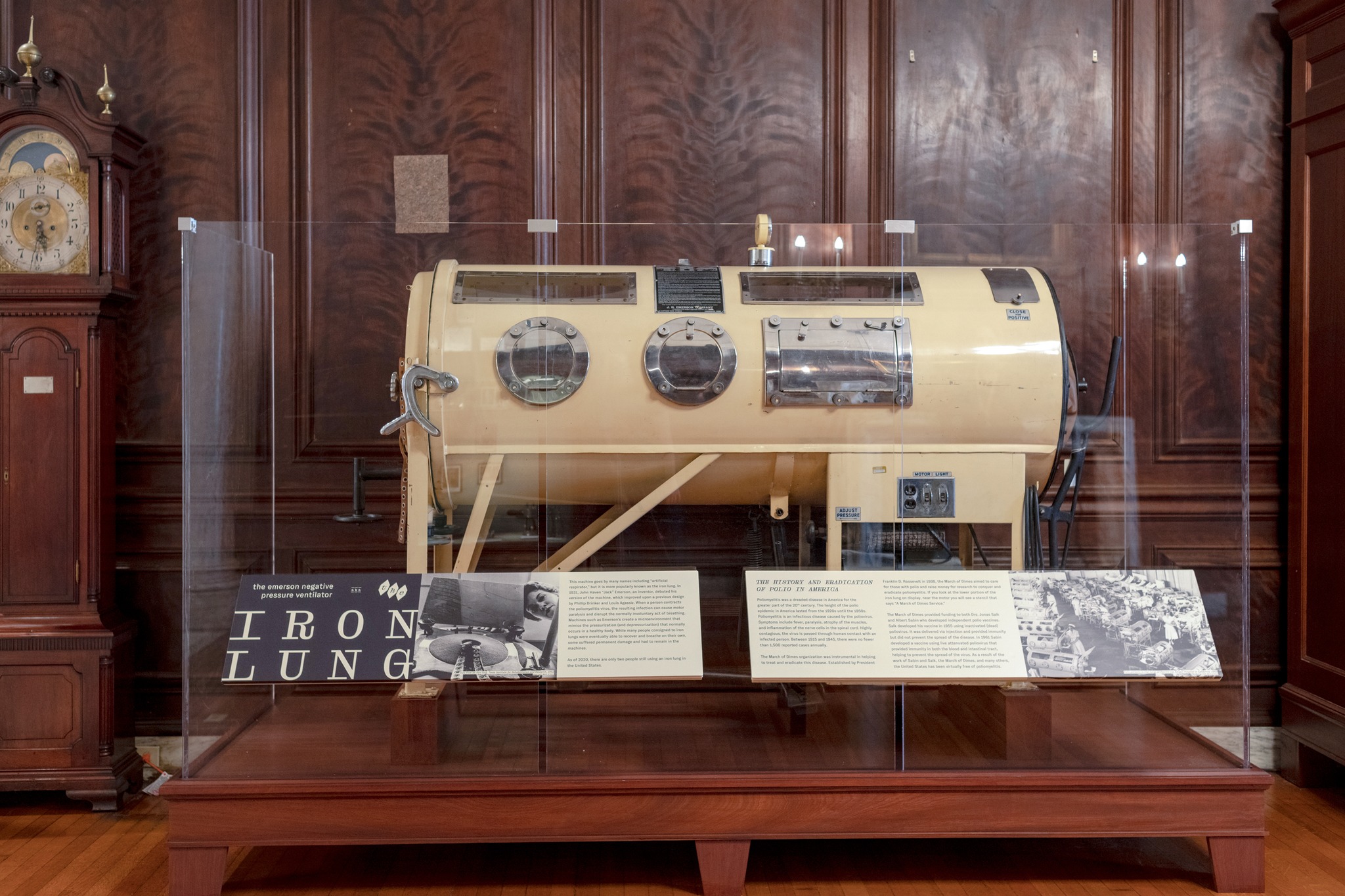 Mutter Museum