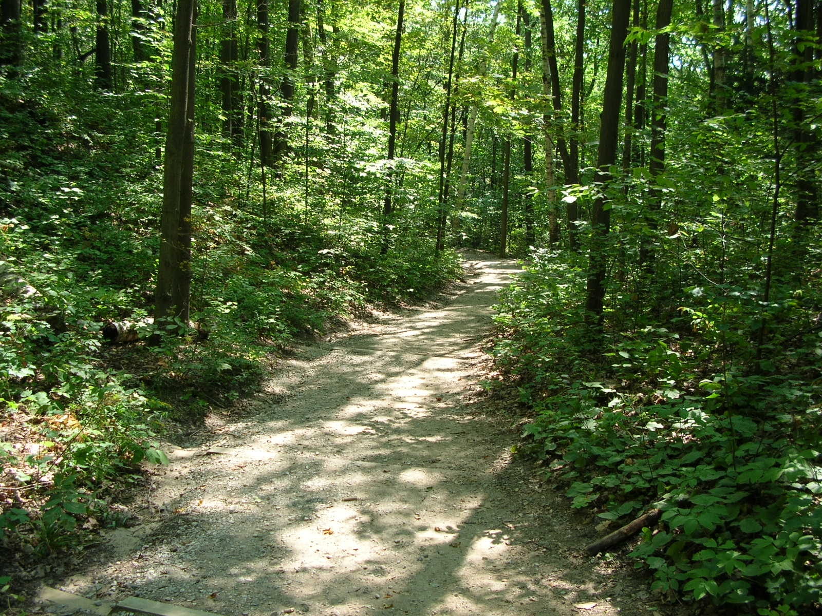 Pyramid Point Trail