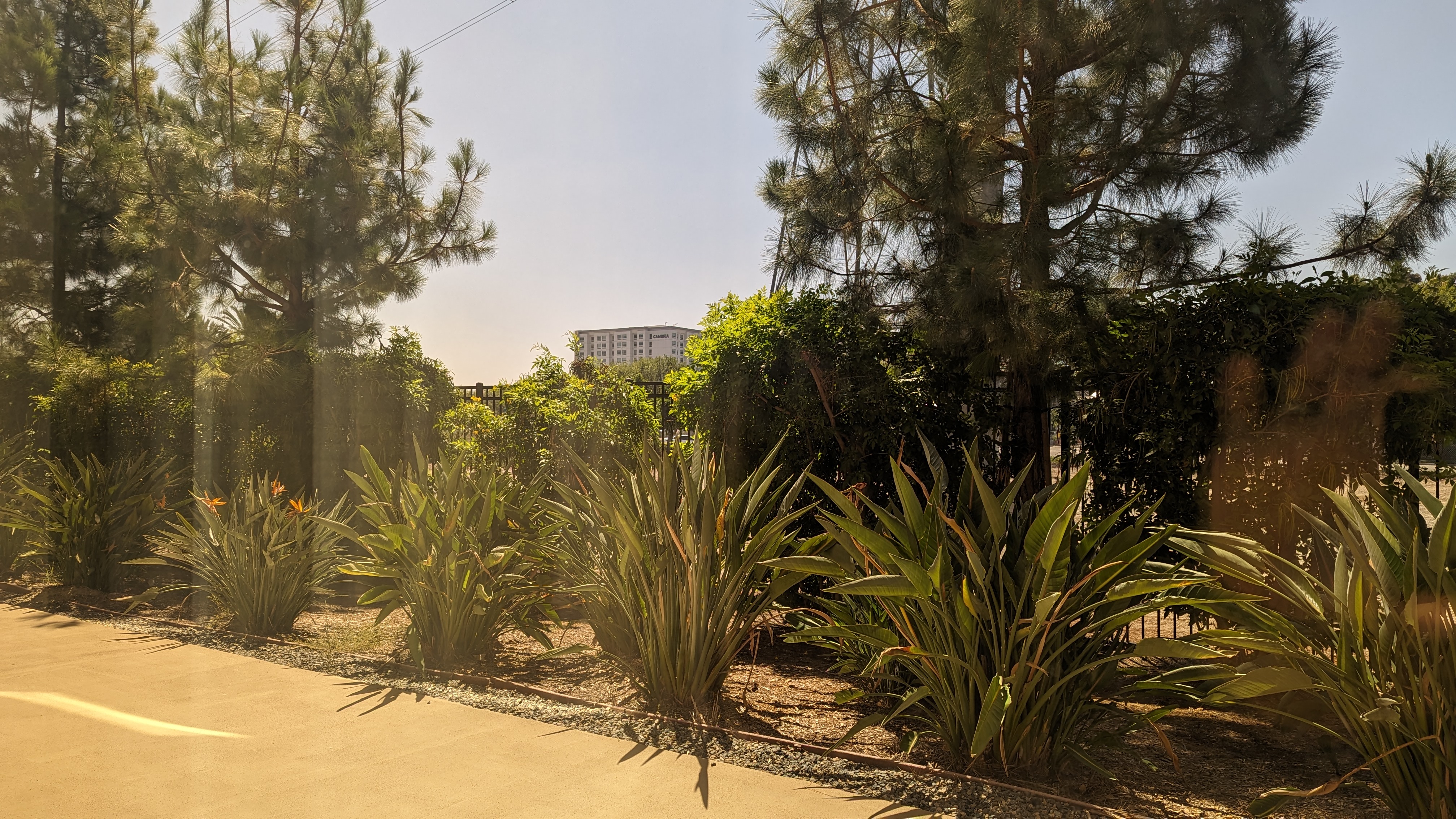 SunCoast Park Hotel Anaheim guestroom view