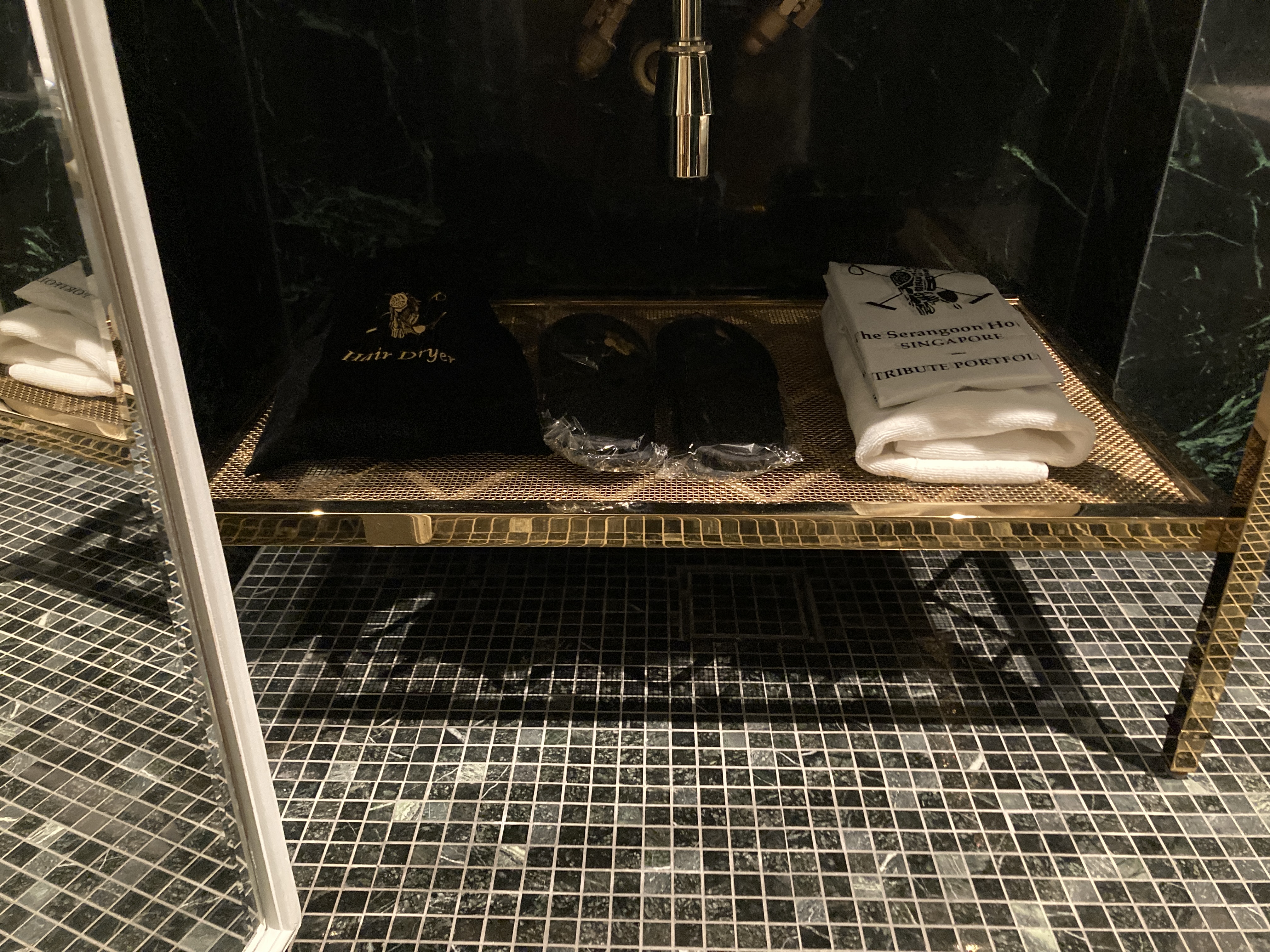 The Serangoon House Singapore Tribute Portfolio bathroom under sink supplies