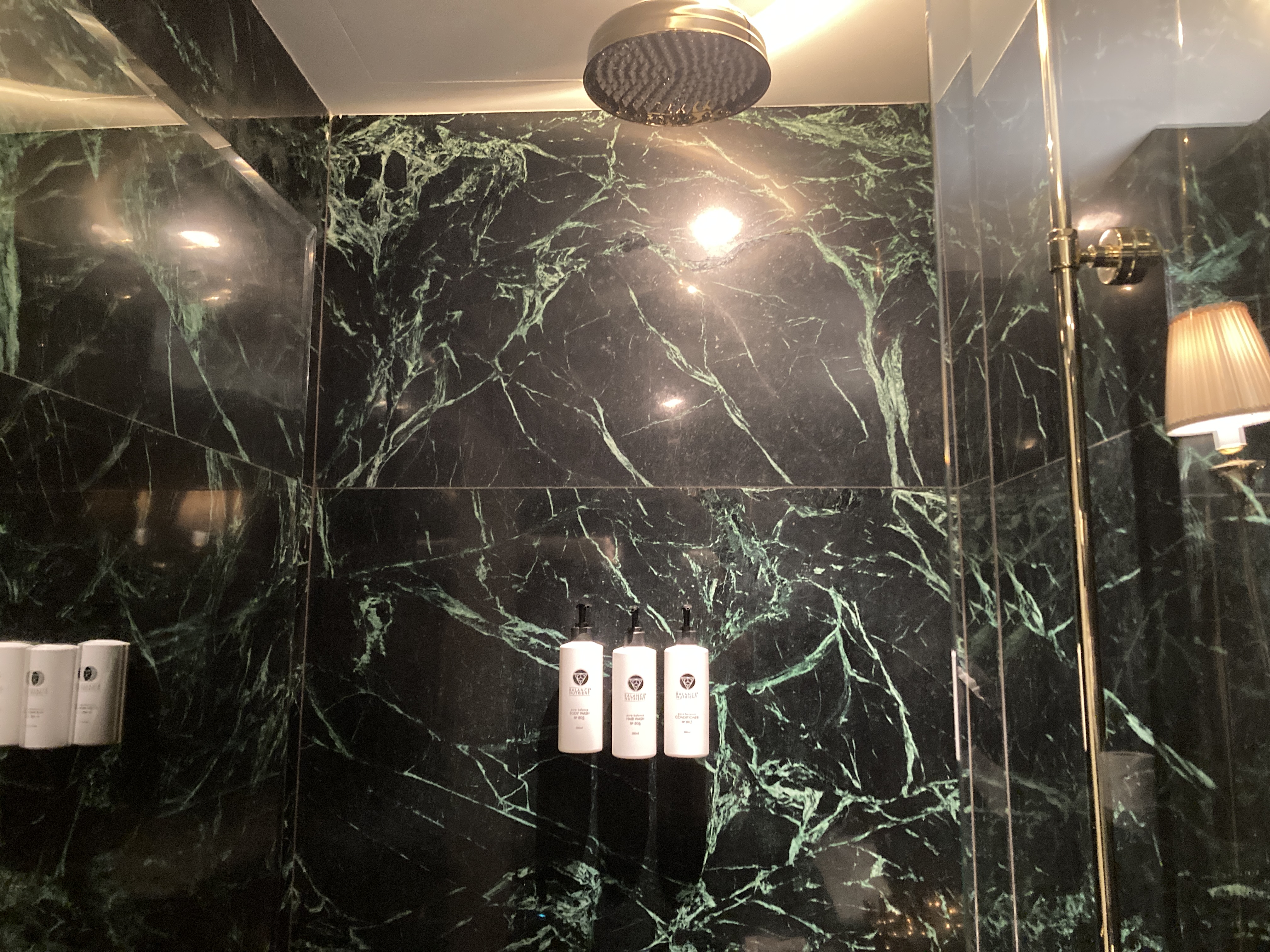 The Serangoon House Singapore Tribute Portfolio shower head