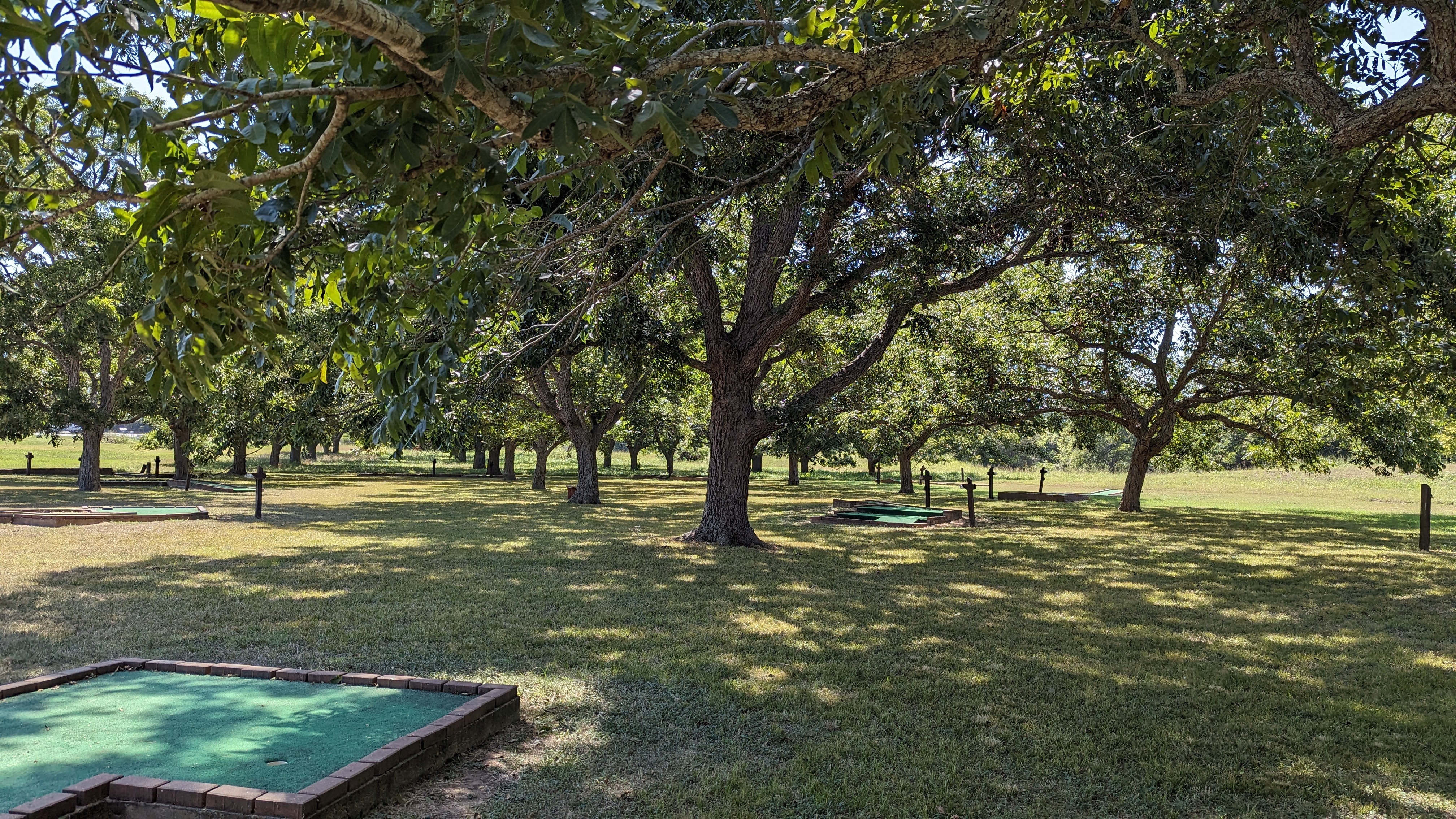 Thousand Trails Colorado River amenities mini golf course Thousand Trails Colorado River amenities mini golf course