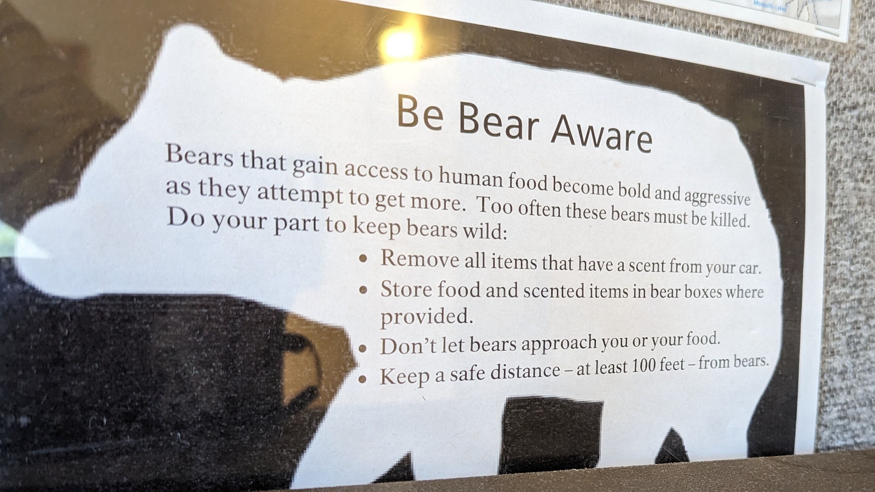 Wuksachi Lodge Sequoia National Park Sillman Building bear awareness Wuksachi Lodge Sequoia National Park Sillman Building bear flyer