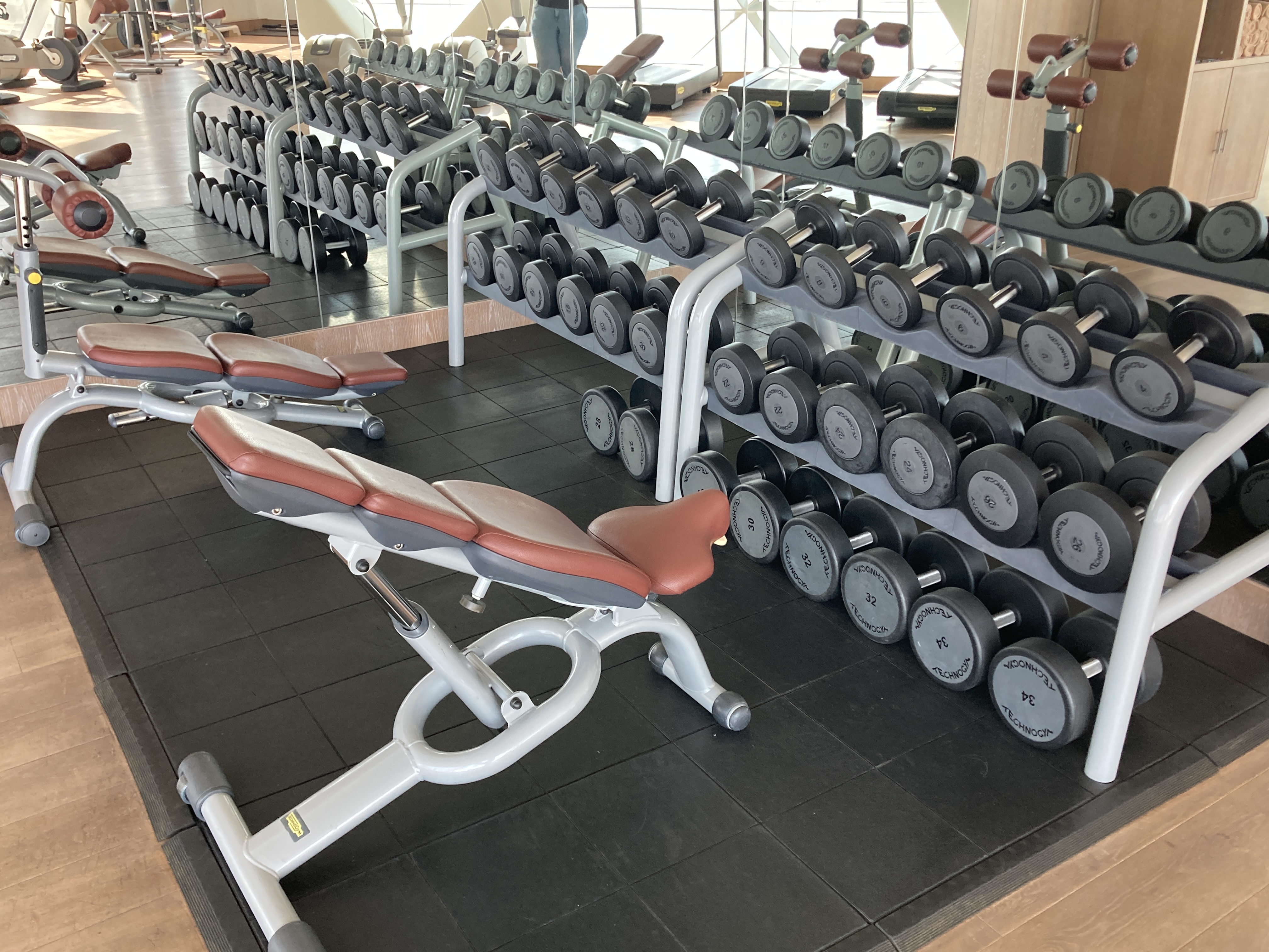 Andaz Capital Gate Abu Dhabi gym dumbbells