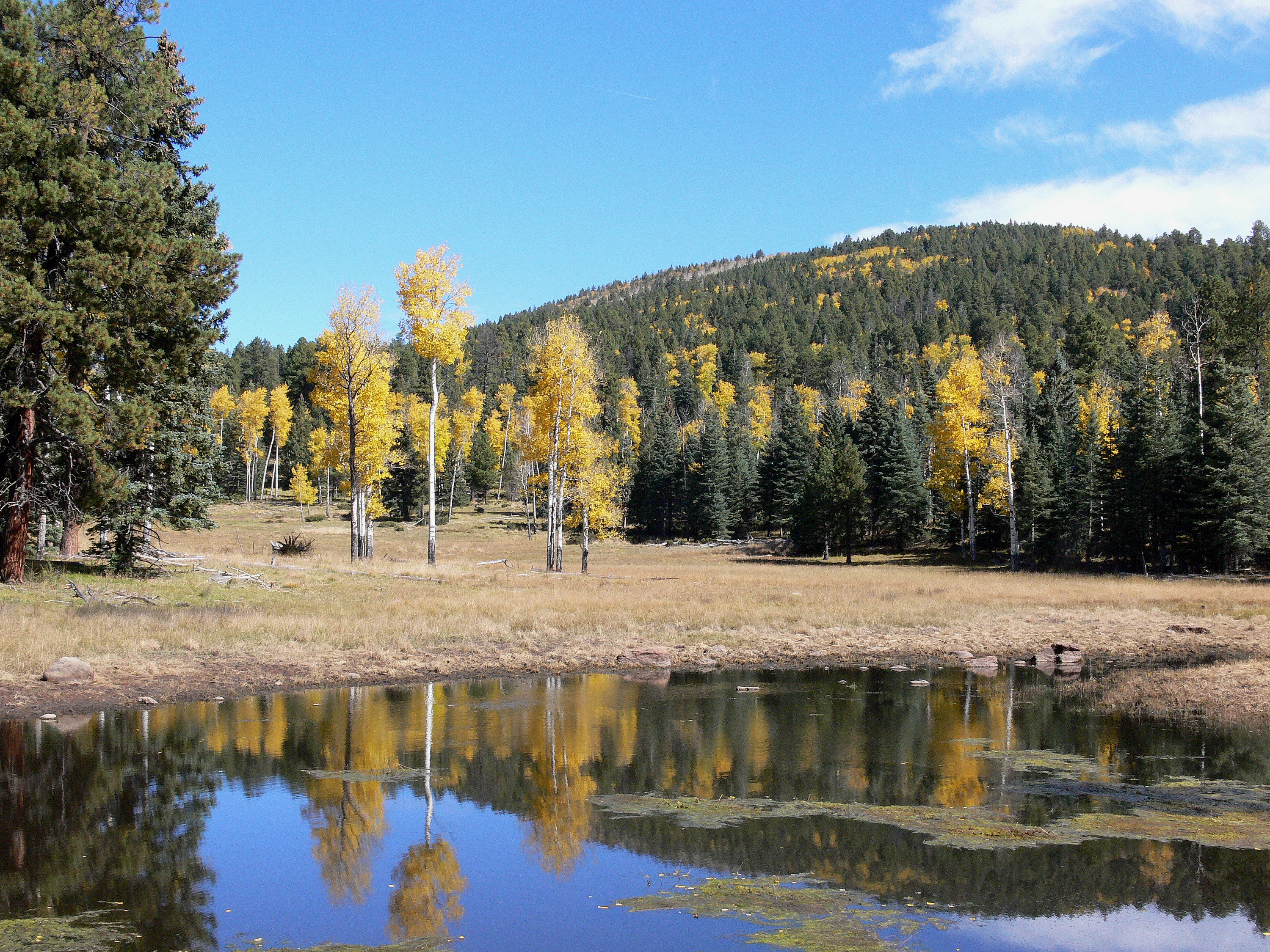 Bandelier National Monument for Fall Foliage