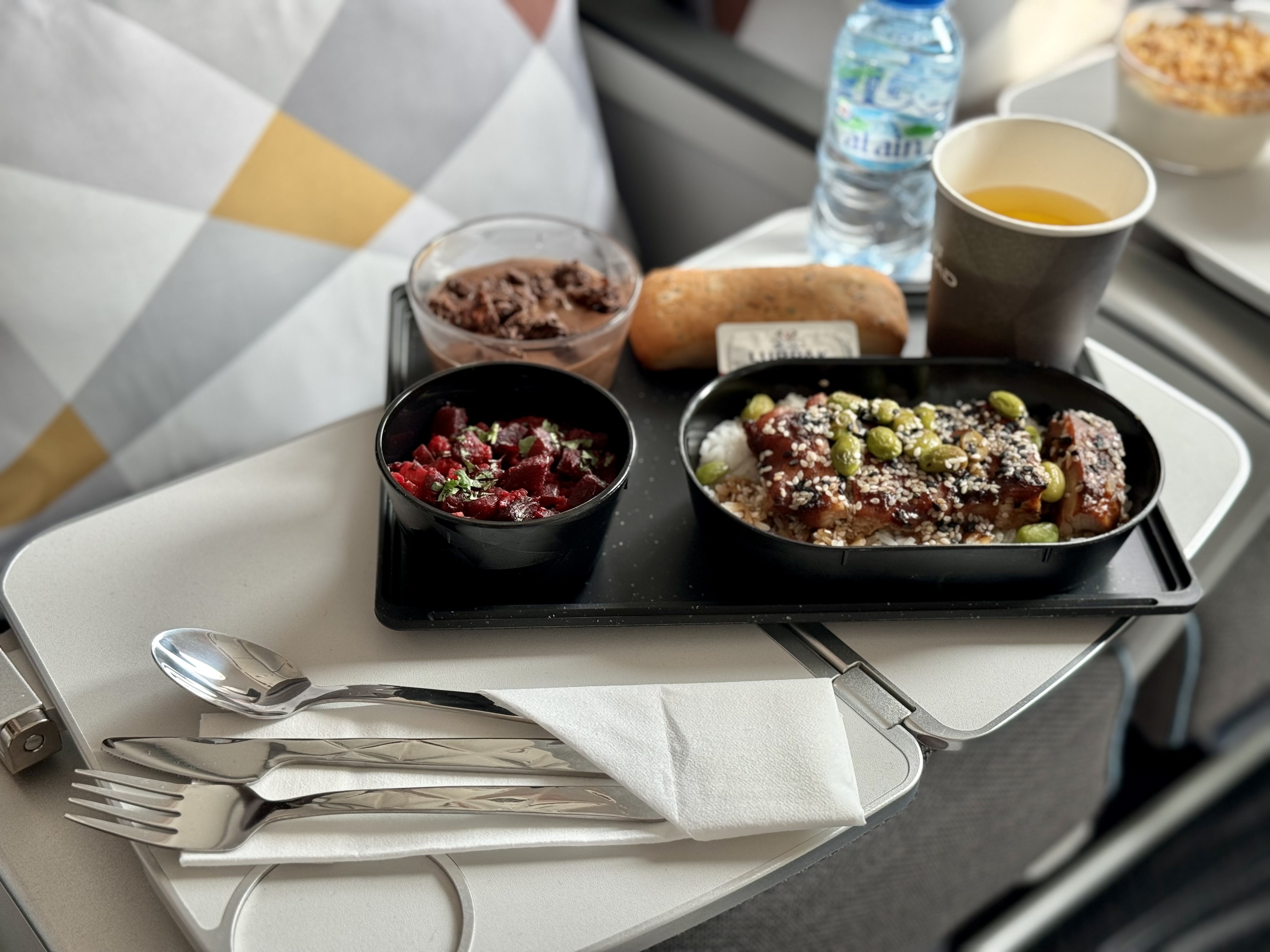 Dubai Airshow Etihad new 787 Dreamliner economy food Dubai Airshow Etihad new 787 Dreamliner economy food