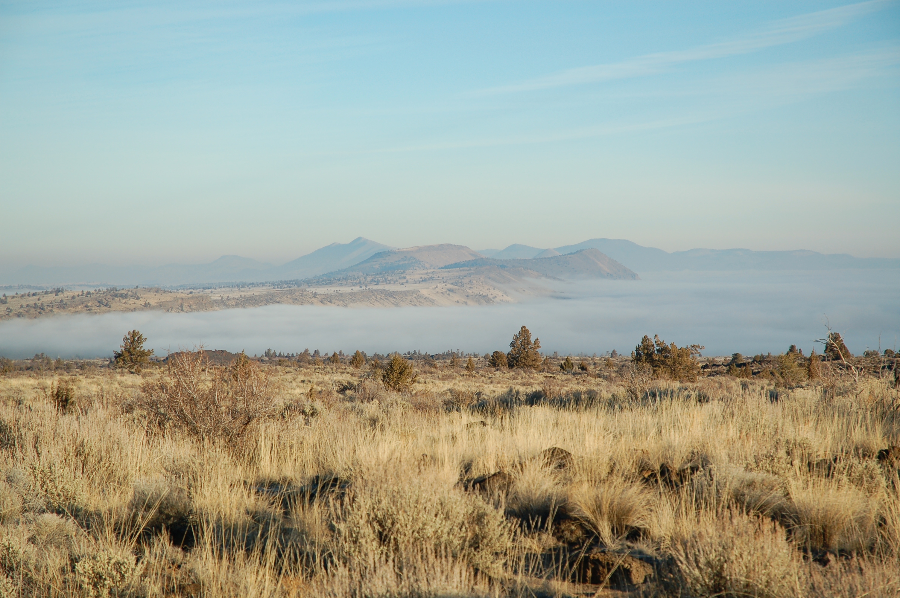 Fog over Tule Lake