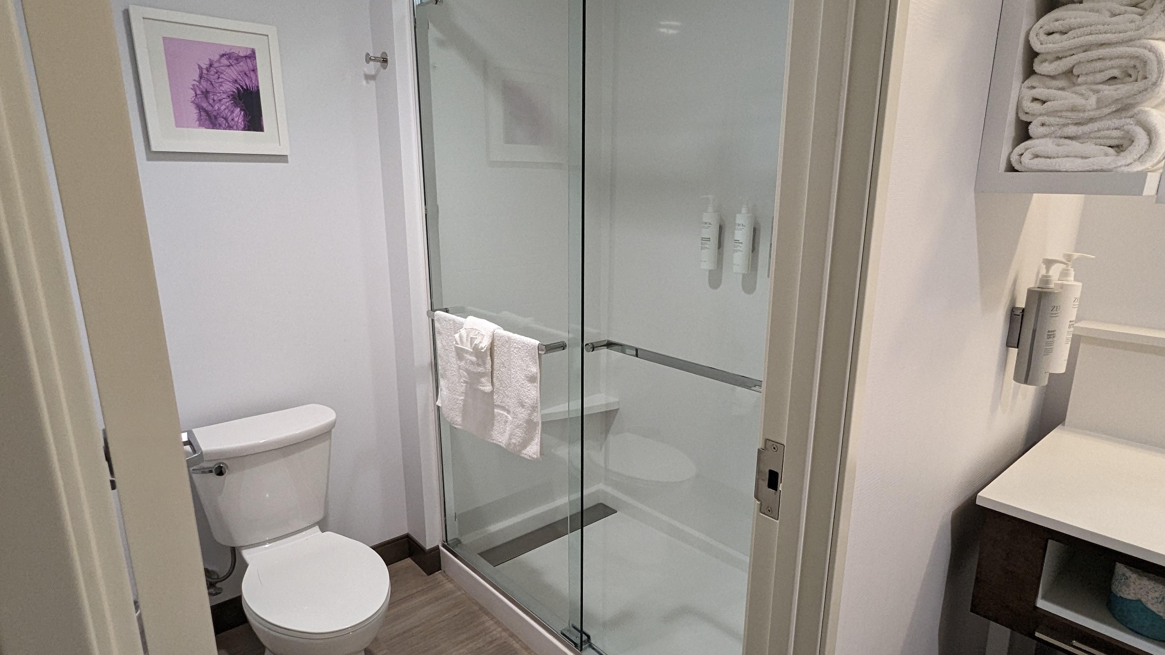 Hampton Inn and Suites Aurora South Denver room bathroom toilet and shower room