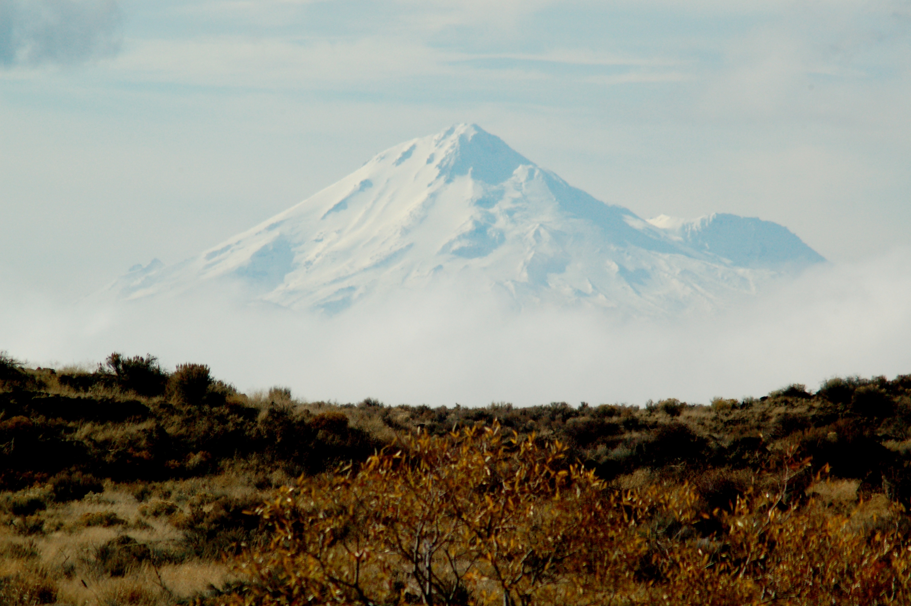Mount Shasta