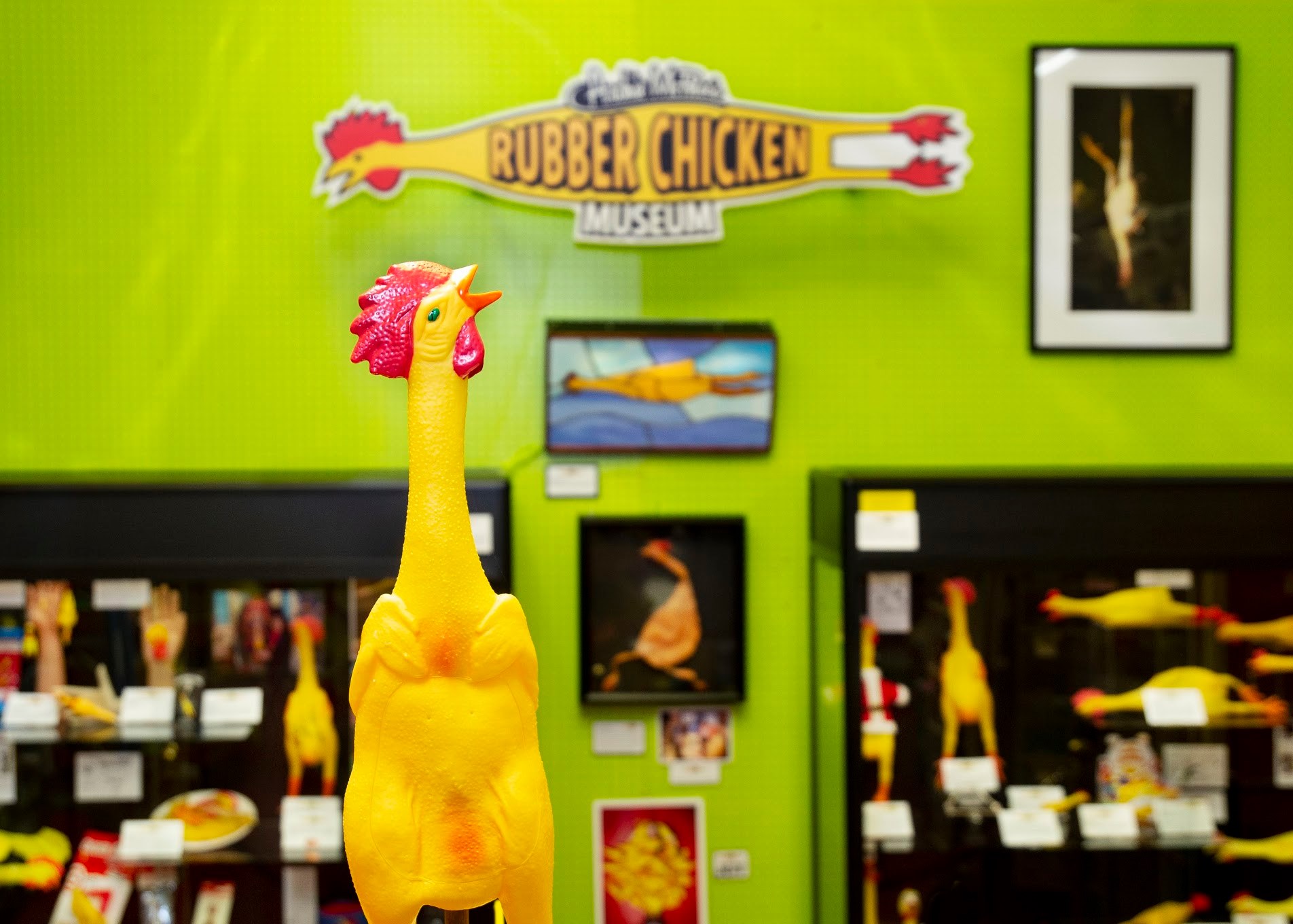 Rubber Chicken Museum Rubber Chicken Museum