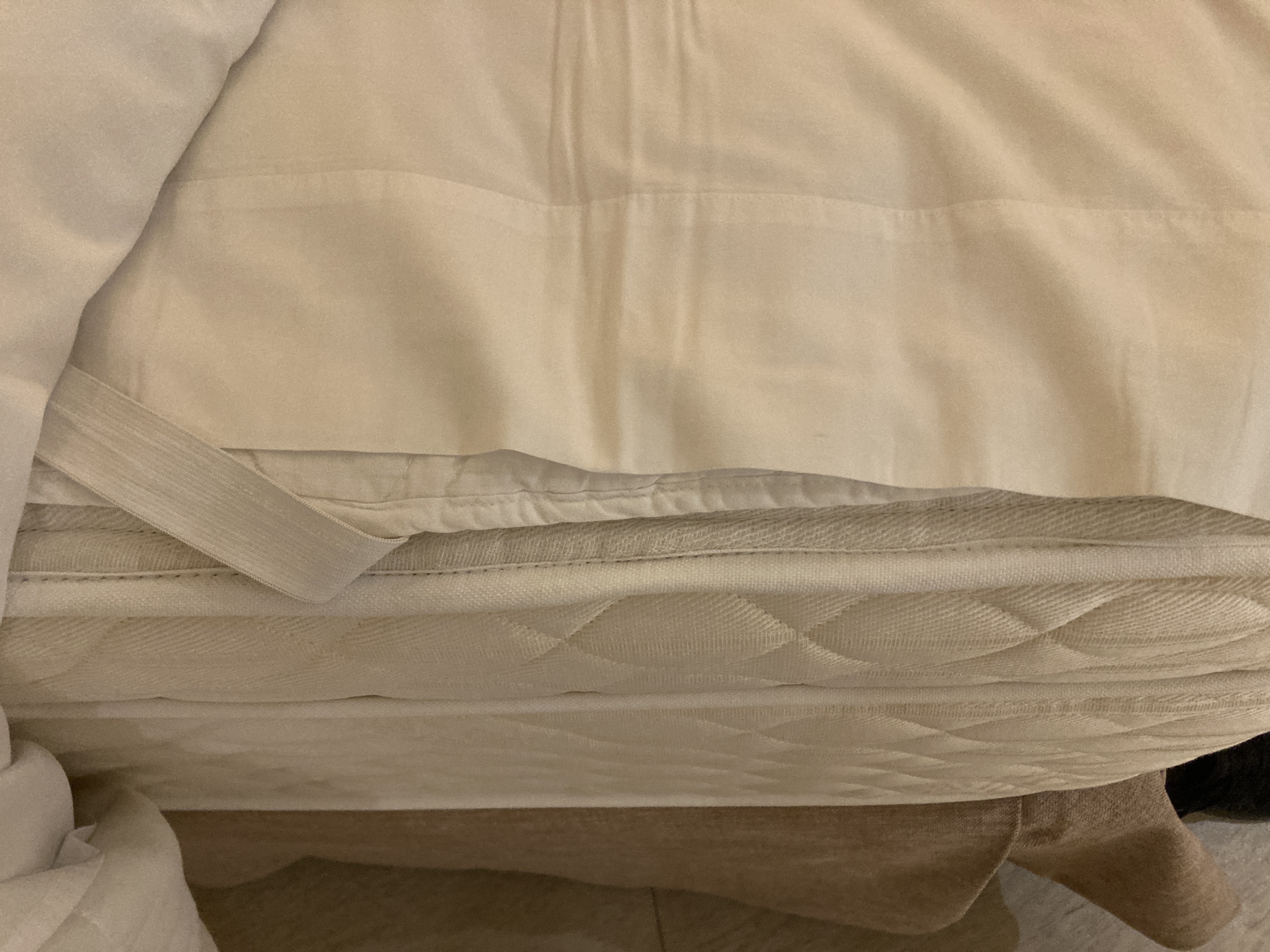 Sunscape Puerto Vallarta Resort Spa romantic suite bed sheets Sunscape Puerto Vallarta Resort Spa romantic suite bed sheets