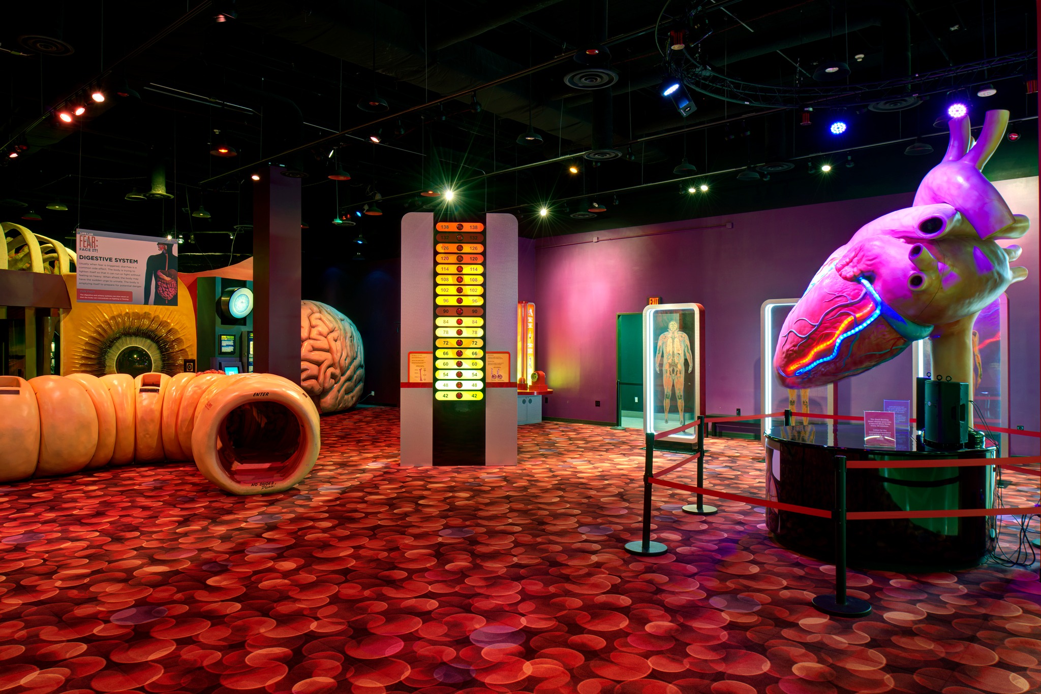 The Health Museum