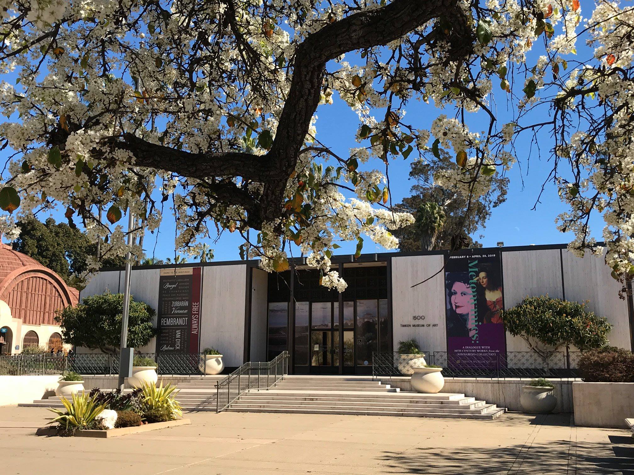 Timken Museum of Art
