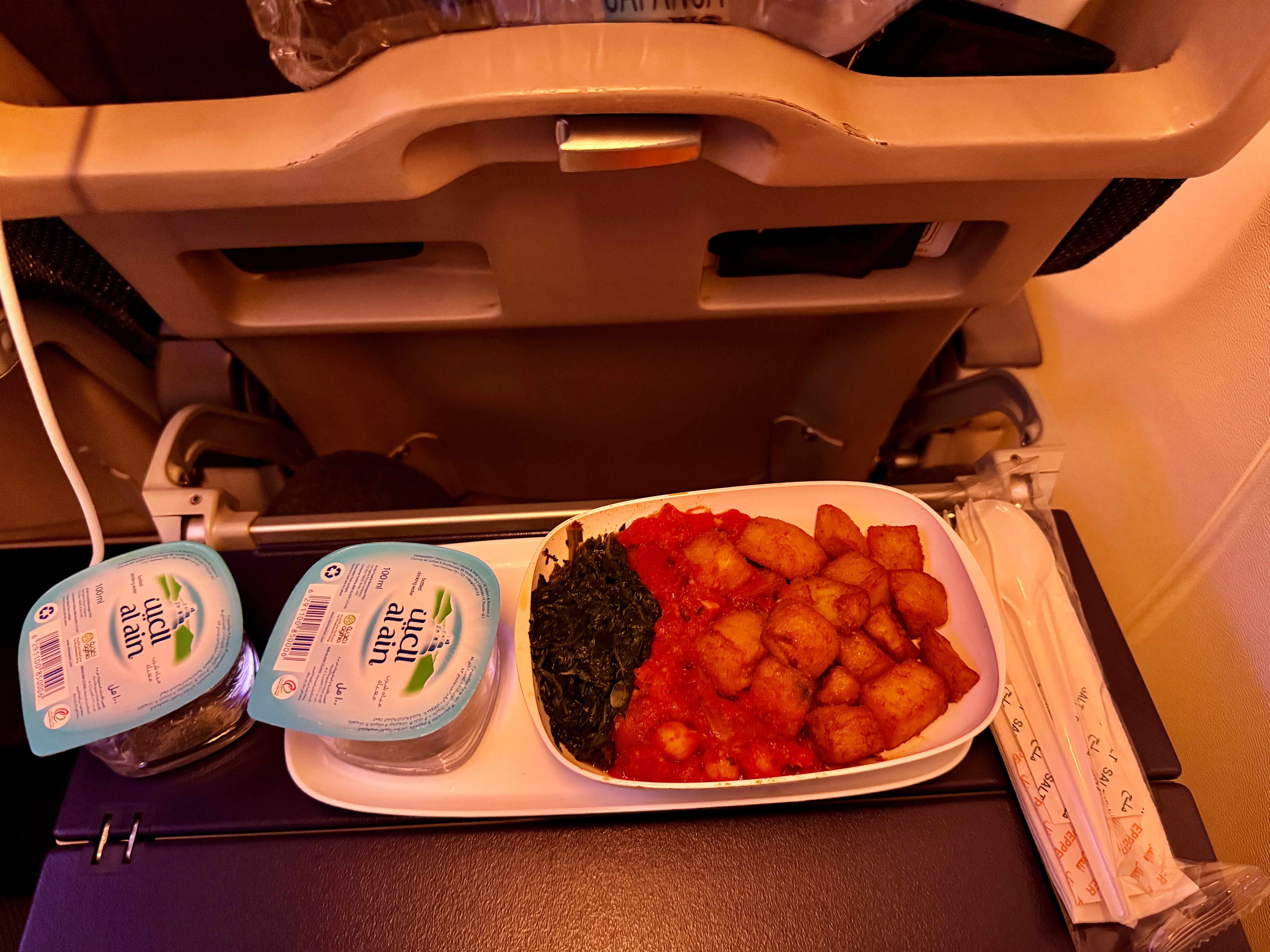 flydubai 737 800 economy meal flydubai 737 800 economy meal