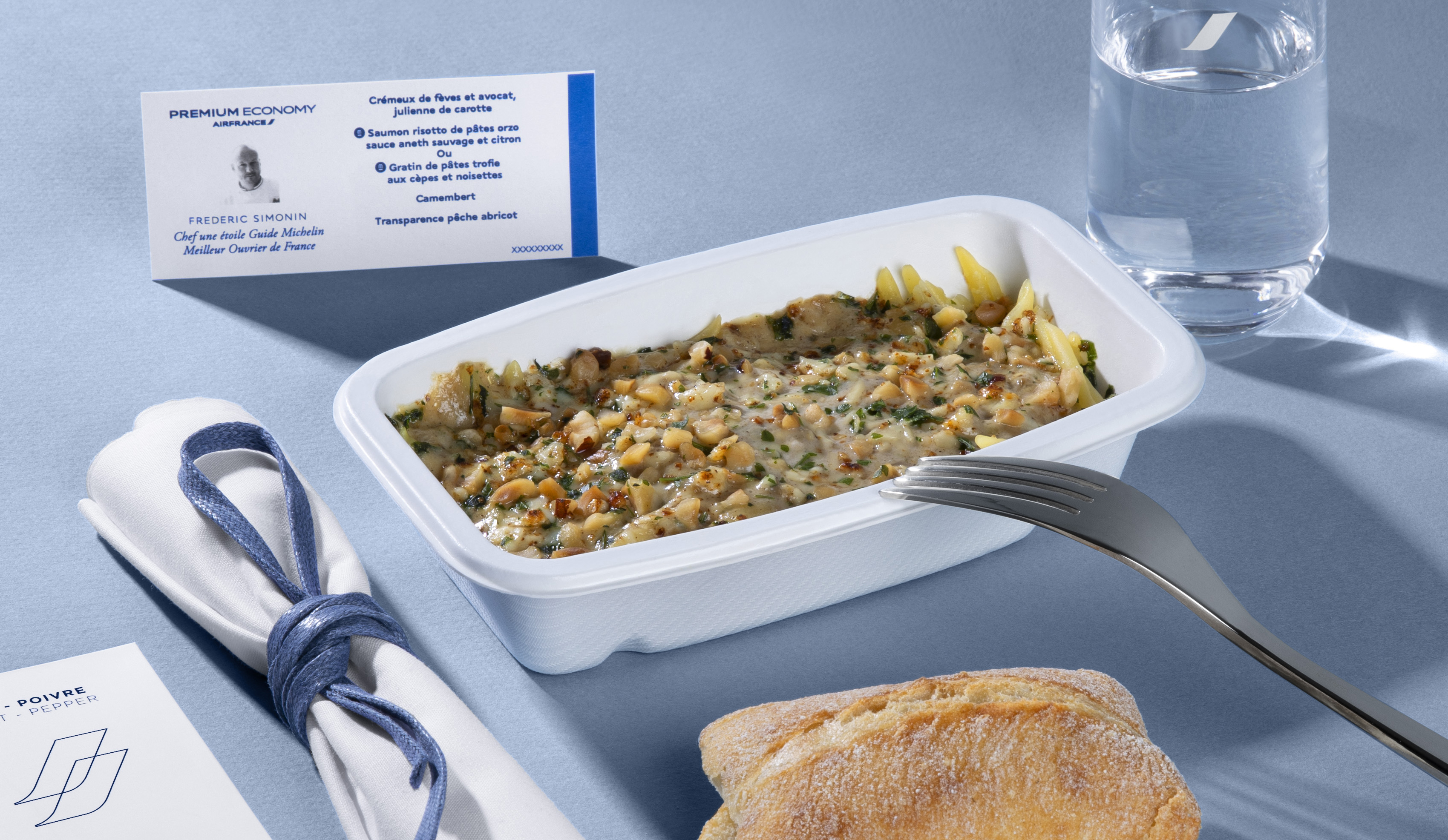 Air France Premium Economy dish 2 Air France Premium Economy dish 2