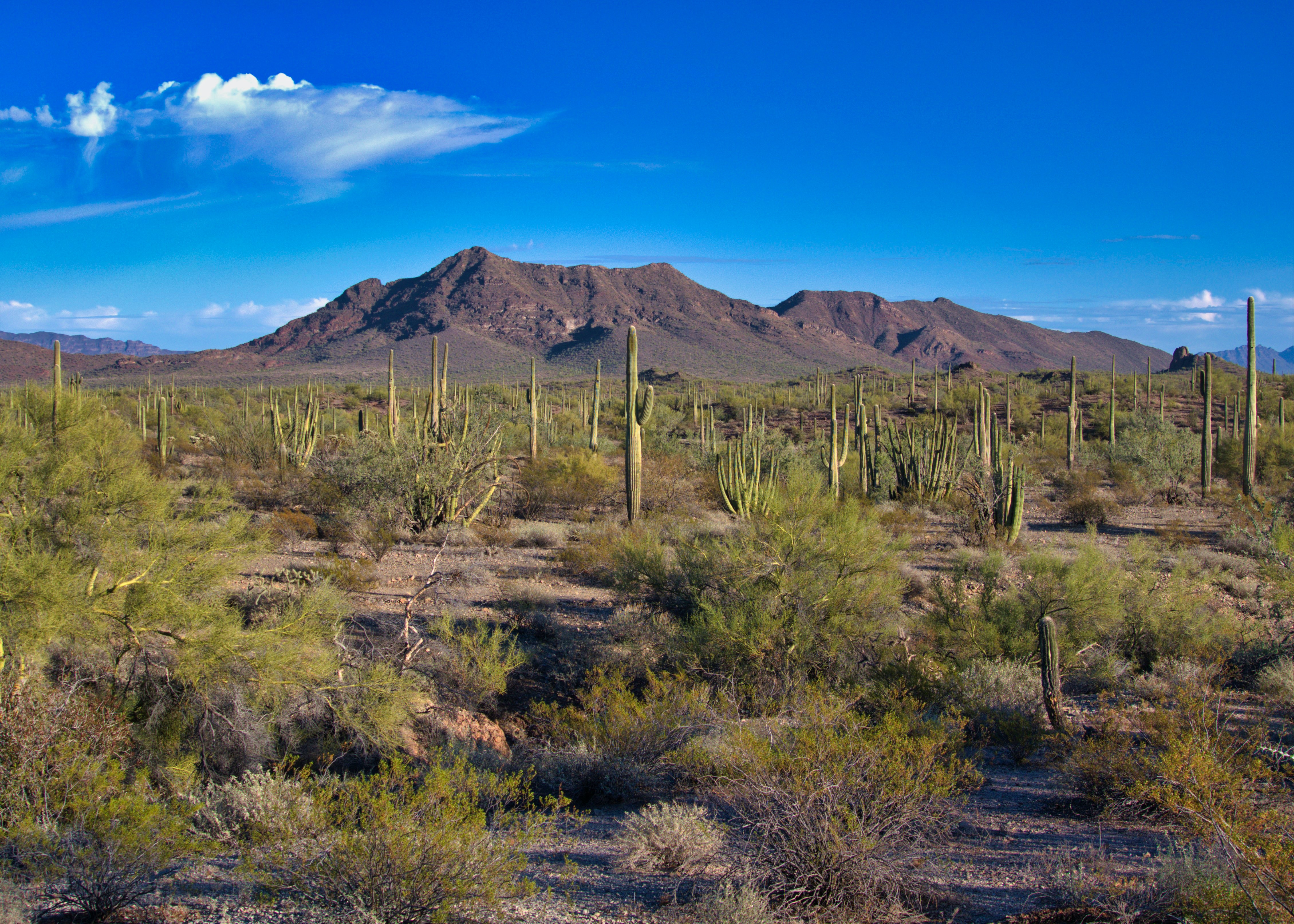 Ajo Arizona Ajo Arizona
