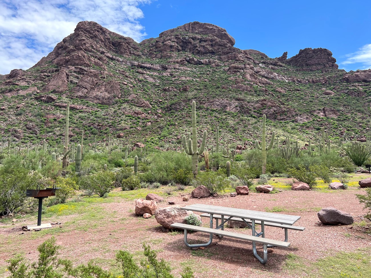 Alamo Canyon Campground Alamo Canyon Campground