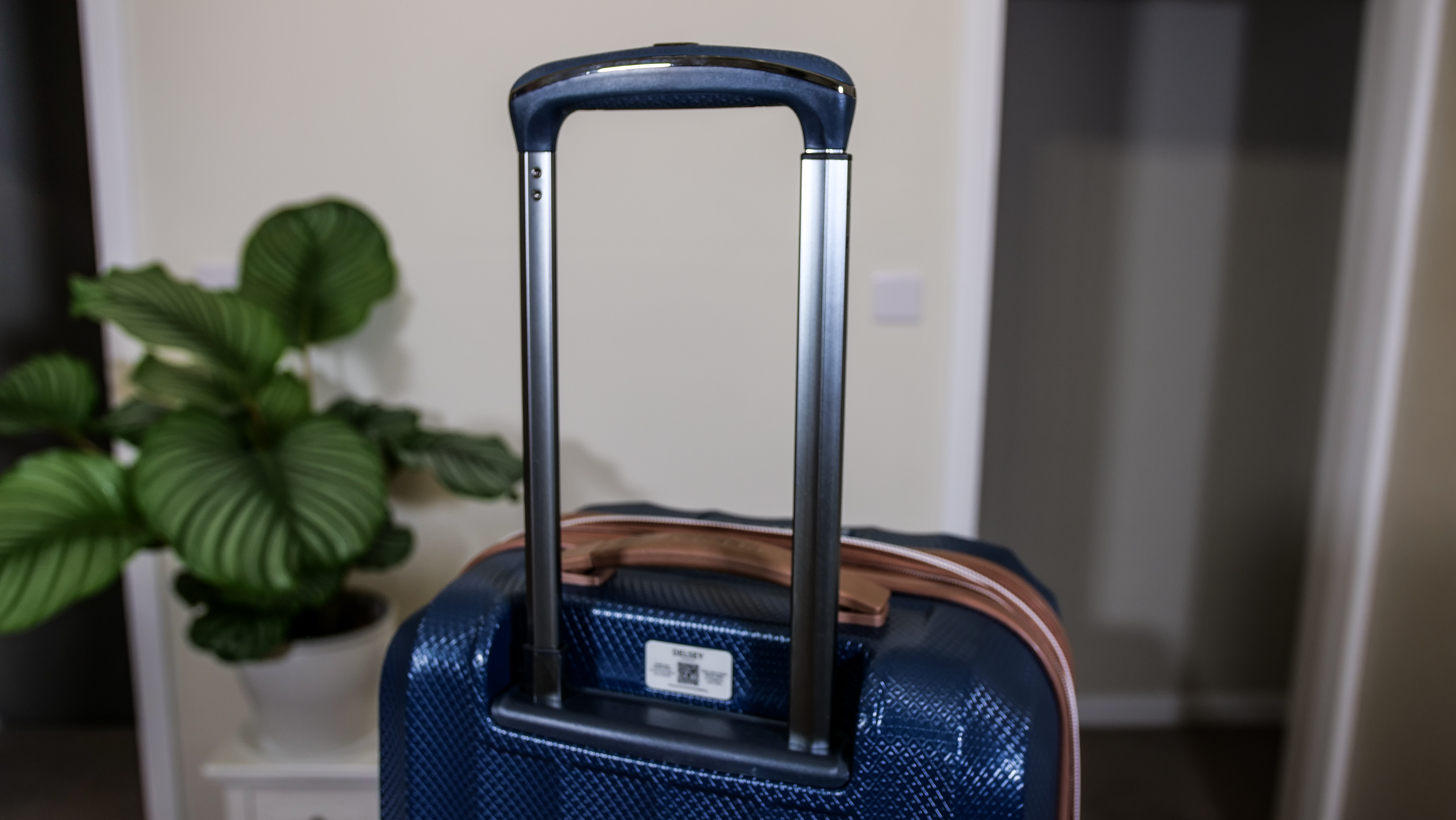 Delsey St Tropez Telescopic Handle