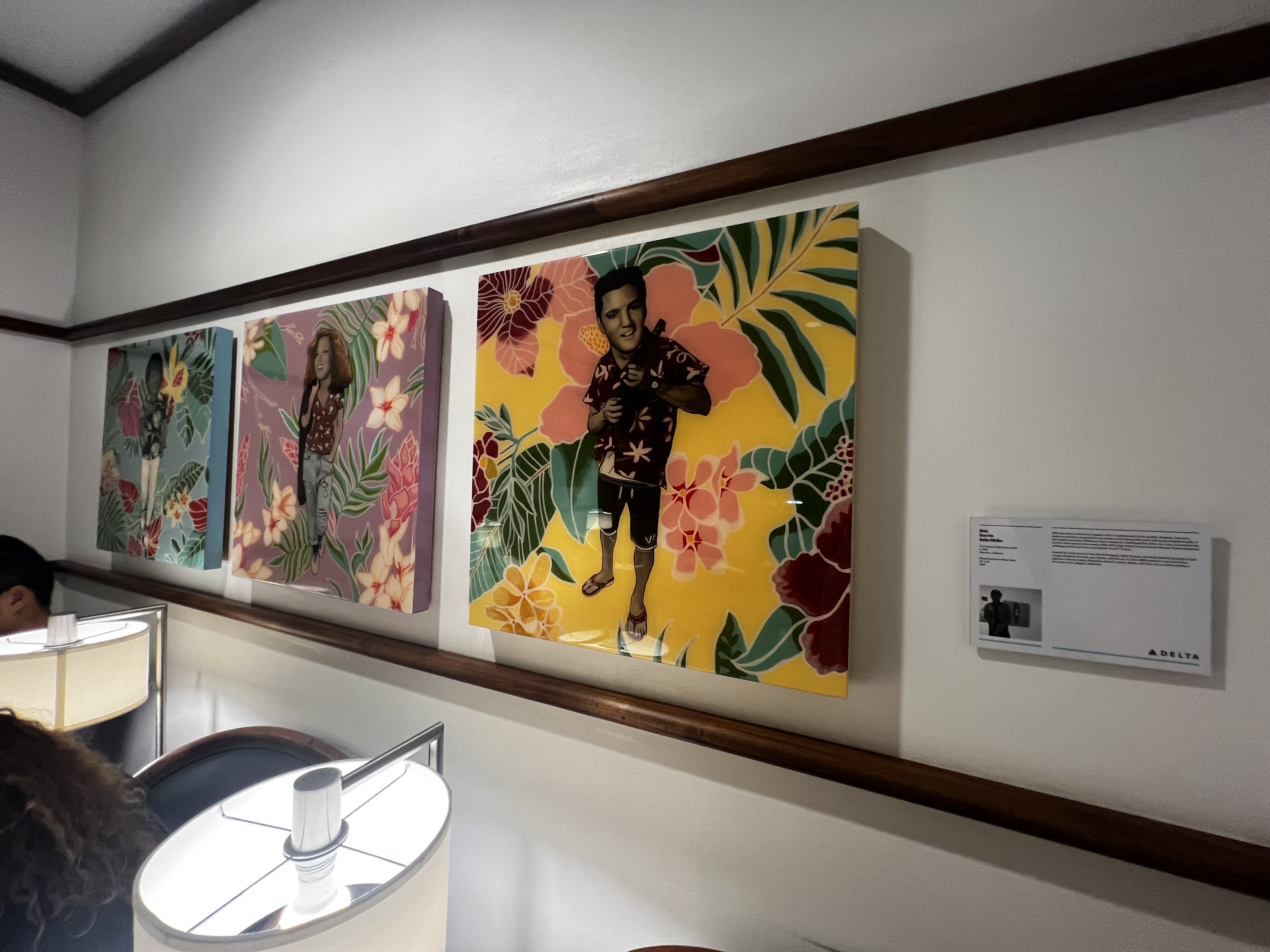 Delta Sky Club HNL Art Delta Sky Club HNL Art