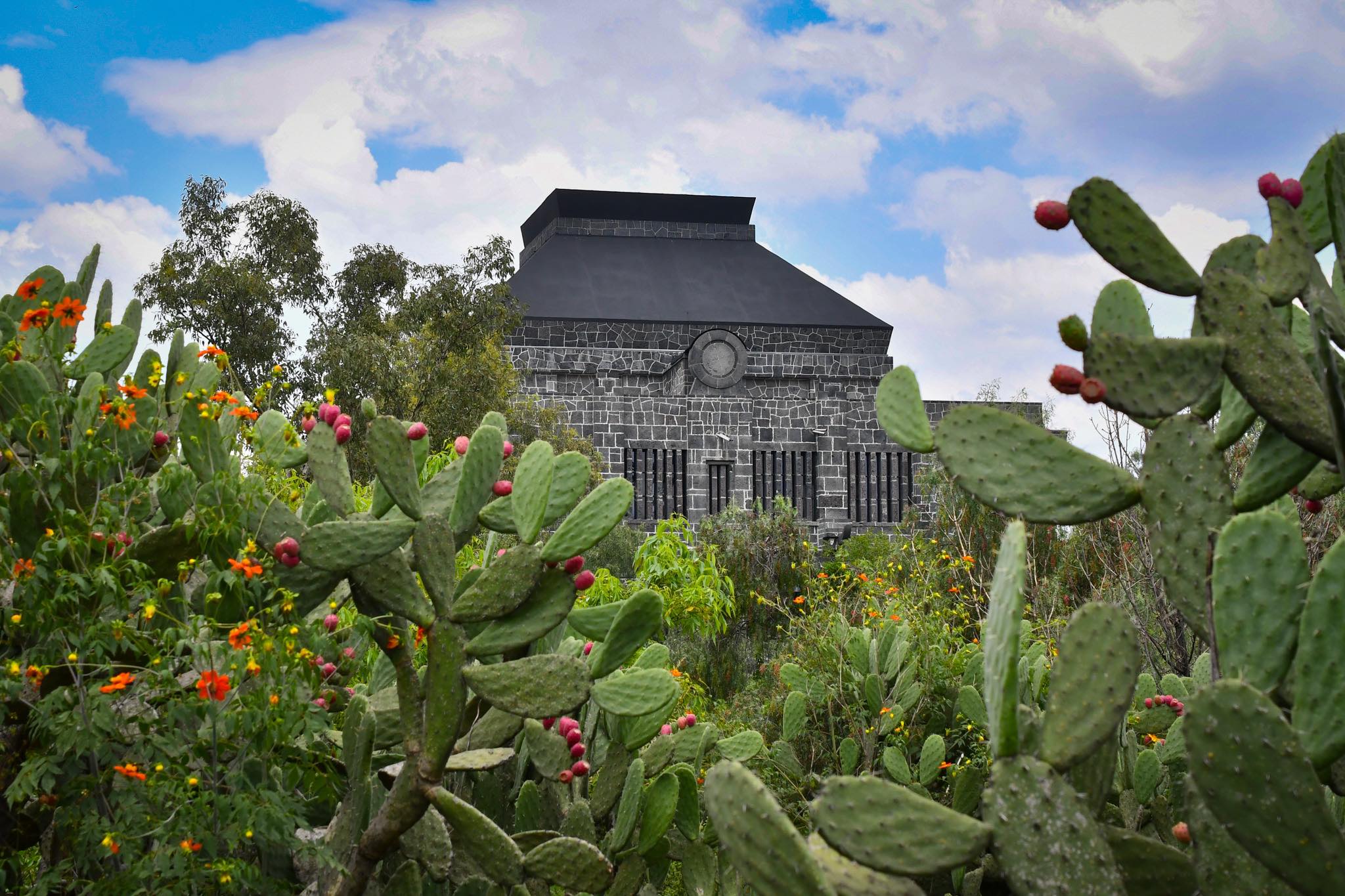 Diego Rivera Anahuacalli Museum