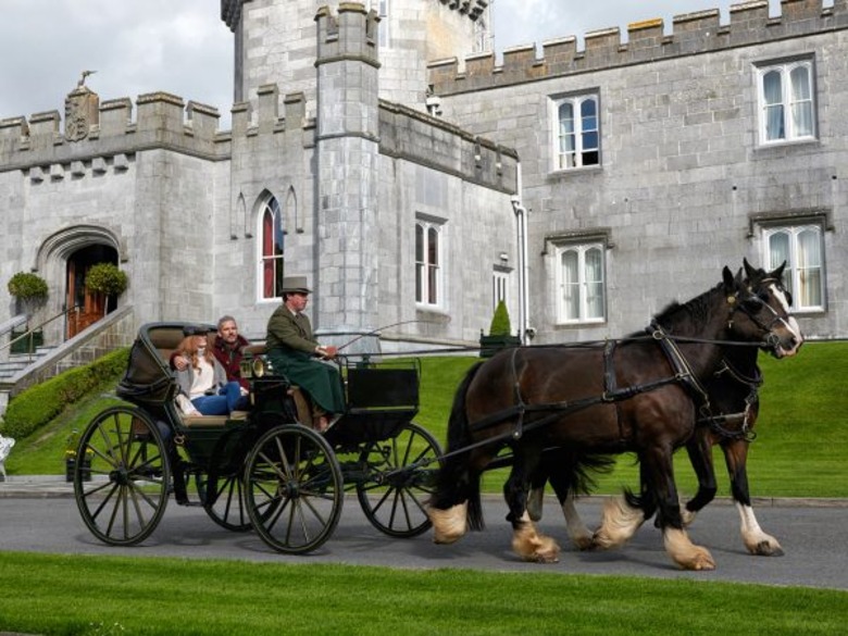 Dromoland Castle Horse and Carriage Dromoland Castle Horse and Carriage