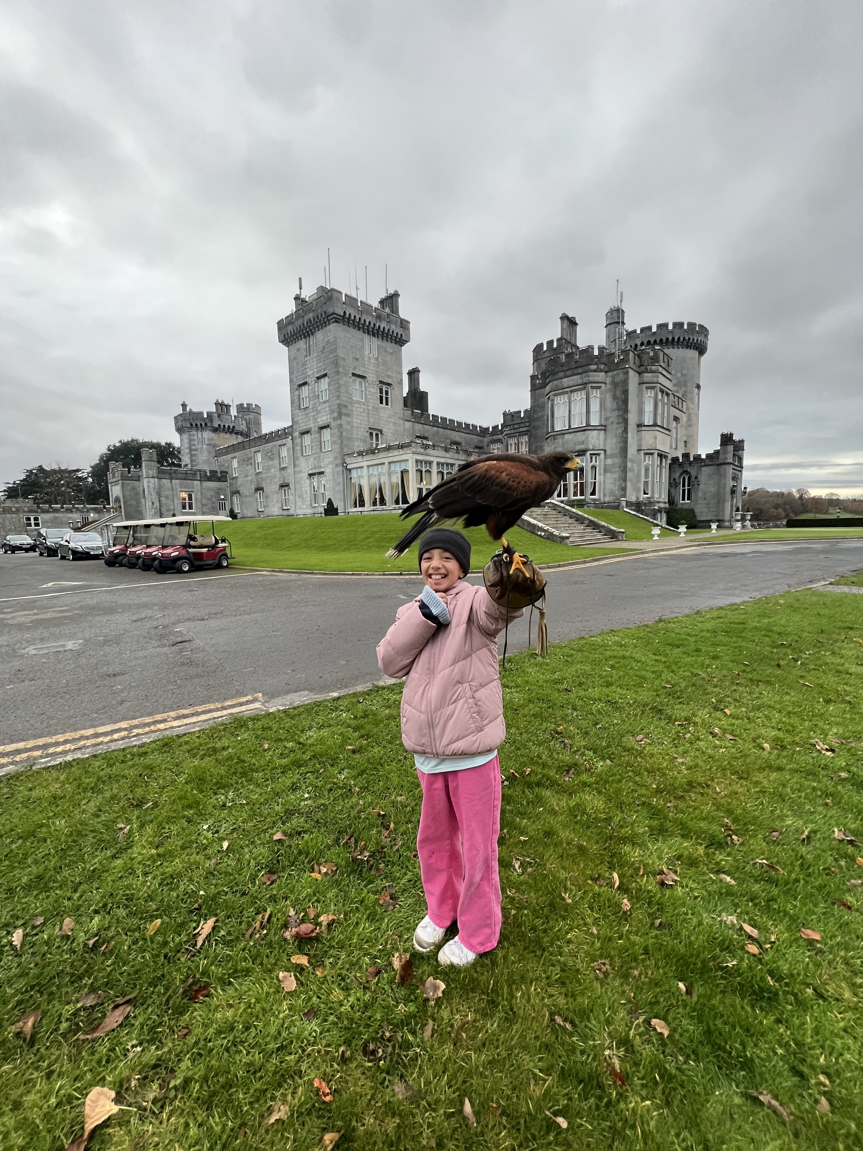 Dromoland Falconry Arm Dromoland Falconry Arm