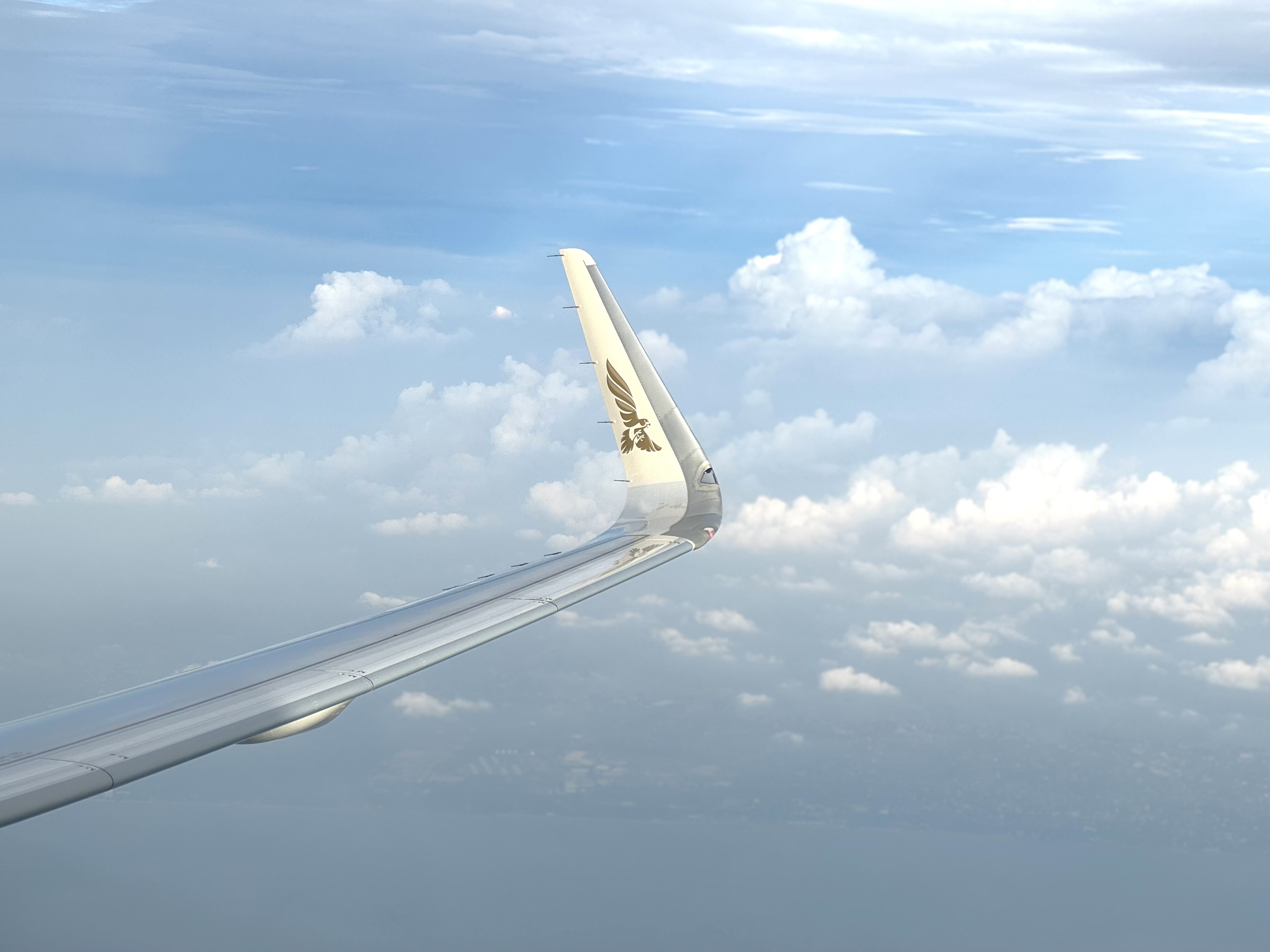 Gulf Air A321neo business class aircraft wing tip