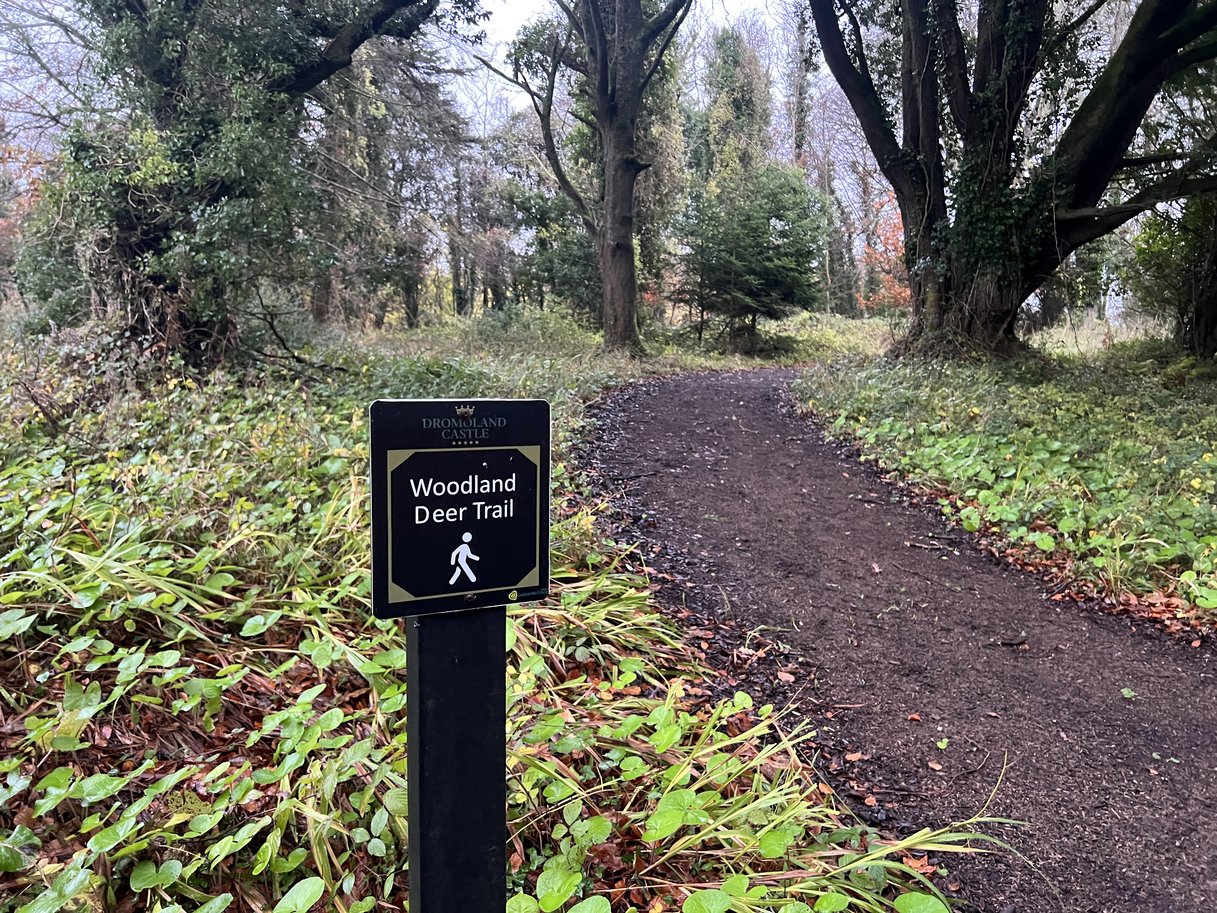 Dromoland Deer trail Dromoland Deer trail