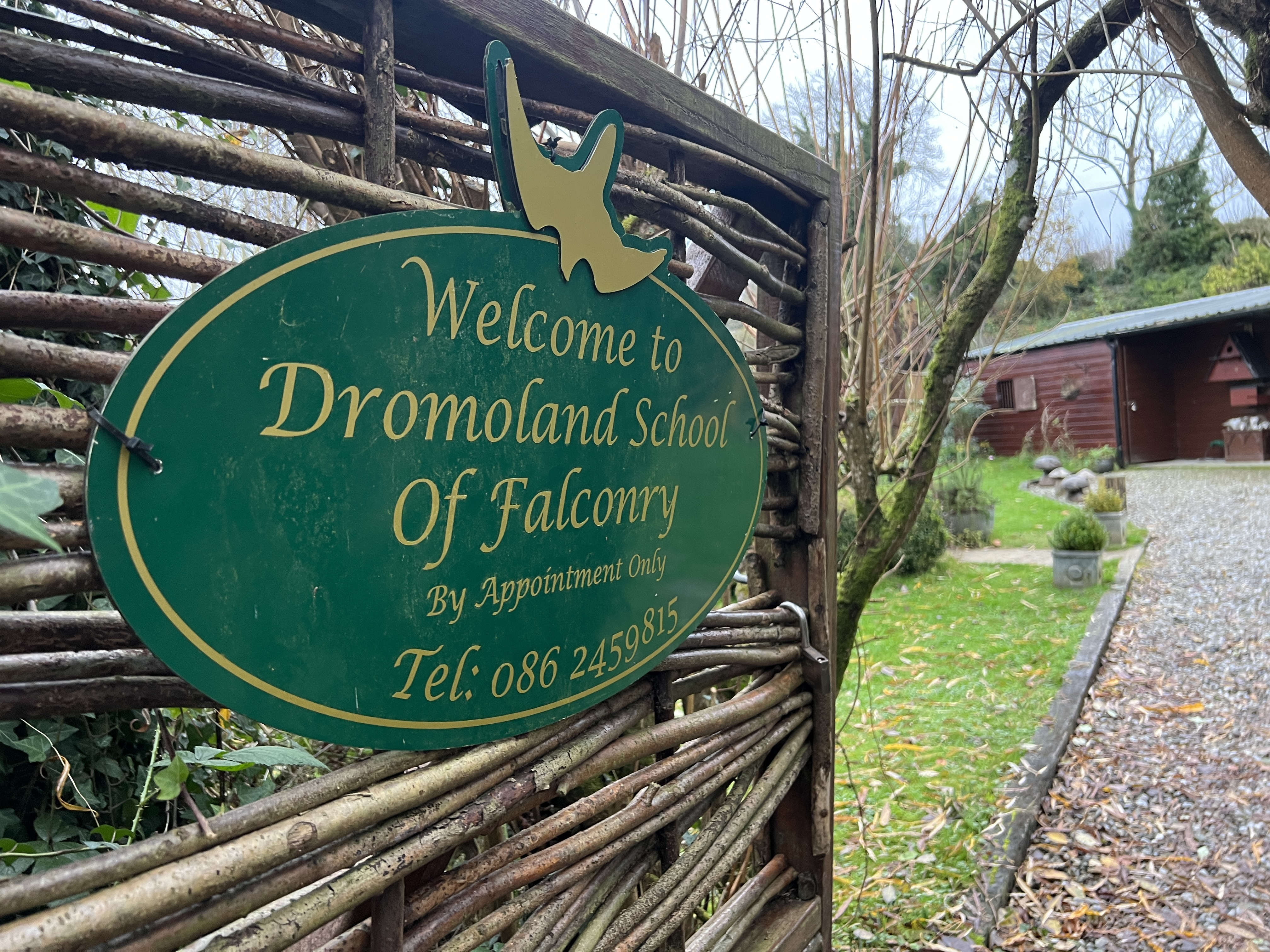 Dromoland School of Falconry Dromoland School of Falconry