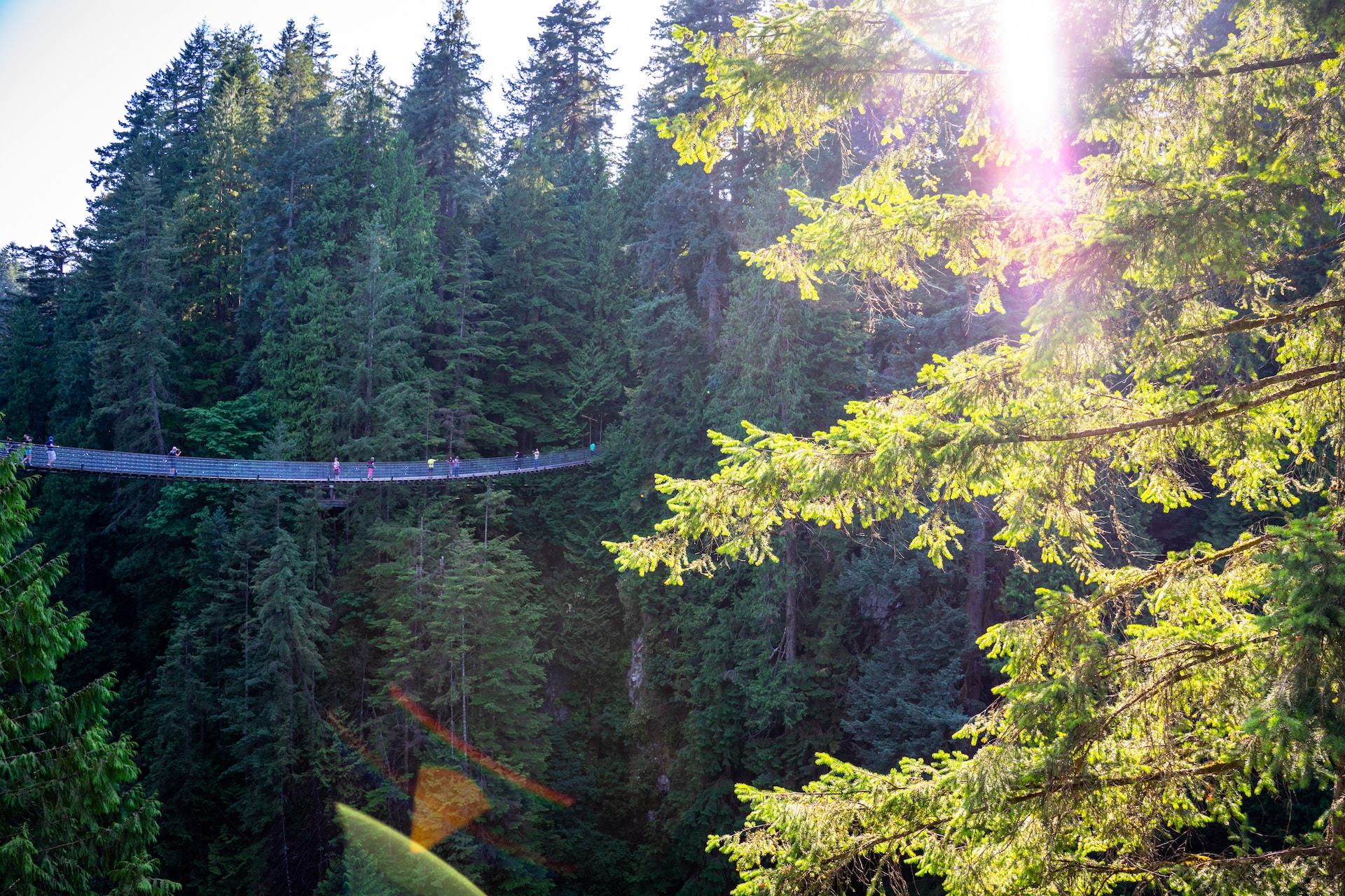 Capilano Suspension Bridge Park