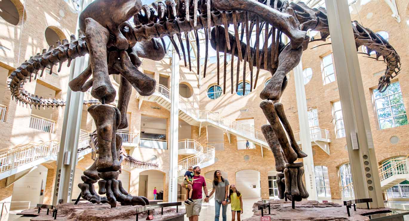 Fernbank Museum of Natural History Fernbank Museum of Natural History