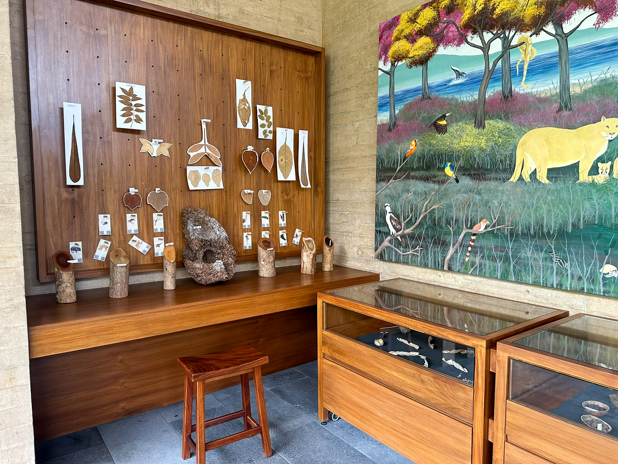 Four Seasons Tamarindo Discovery Center displays Four Seasons Tamarindo Discovery Center displays