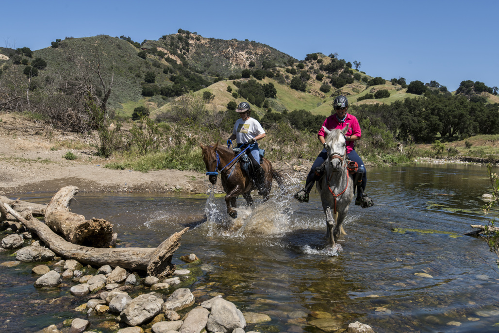 Getting Around Malibu Creek State Park