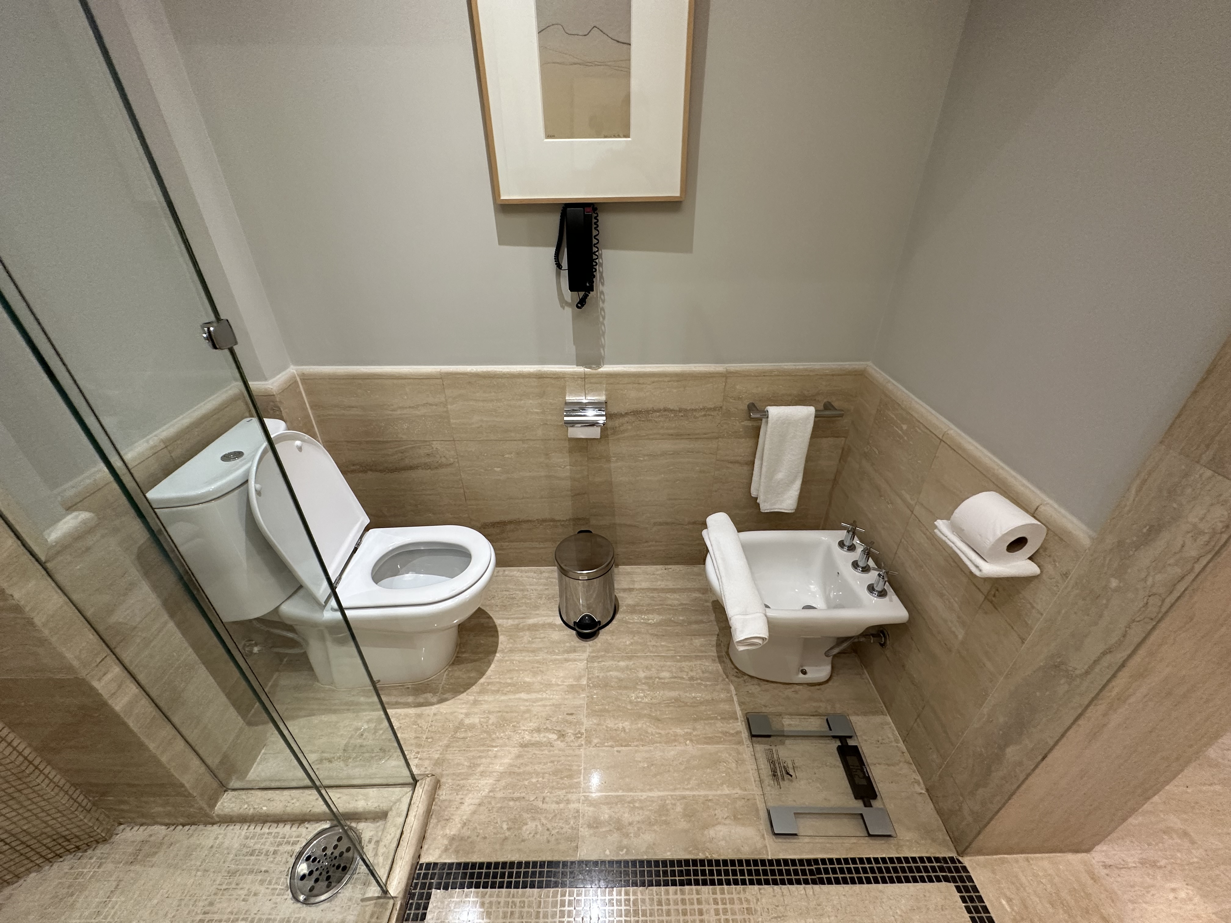 Grand Hyatt Sao Paulo toilet bidet