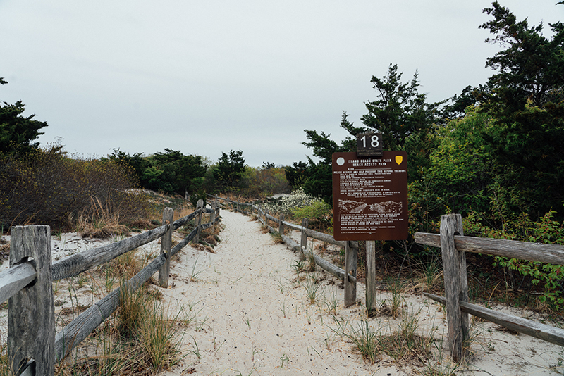 Hiking Island Beach State Park