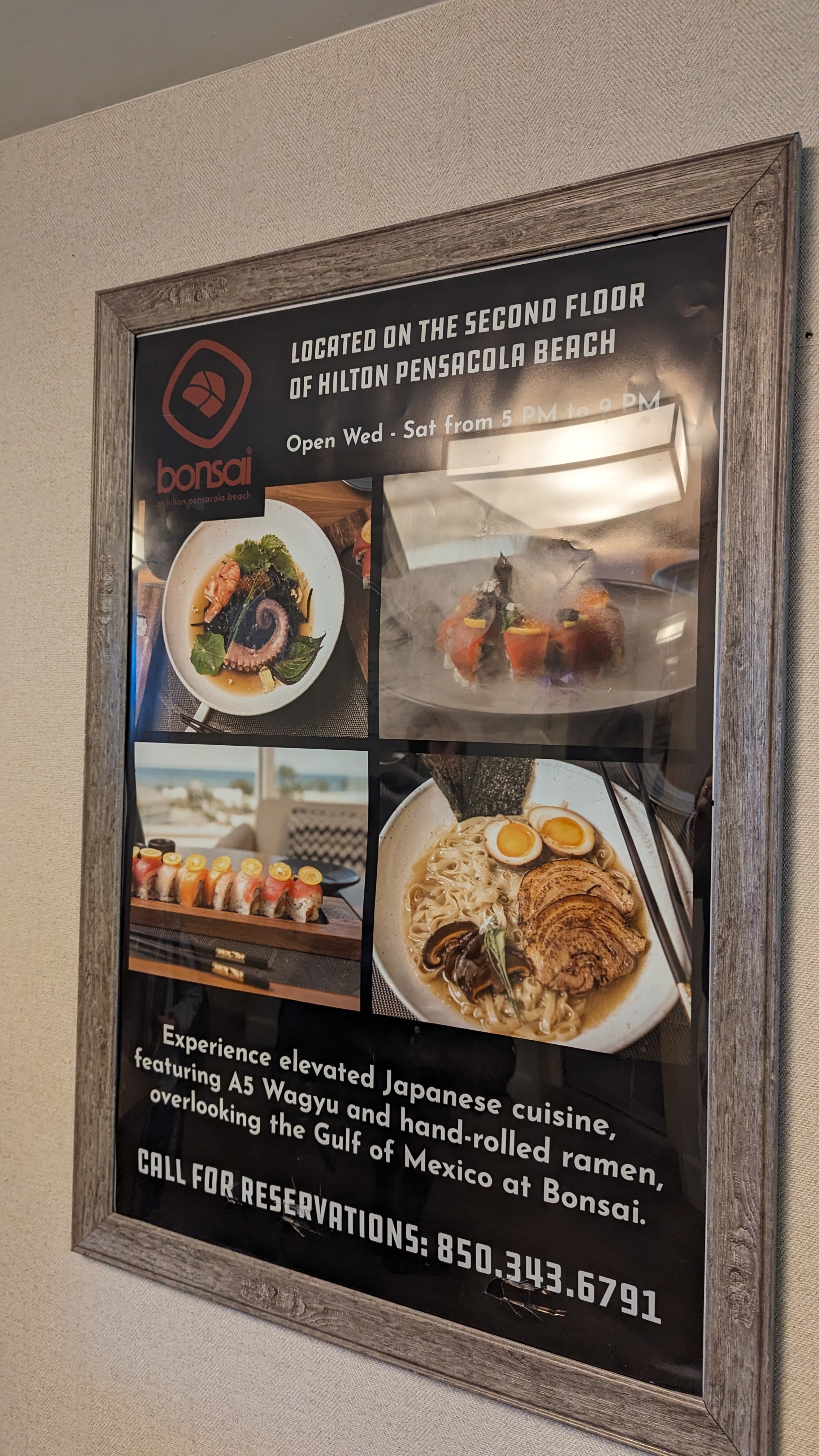 Hilton Pensacola Beach food and beverage Bonsai information