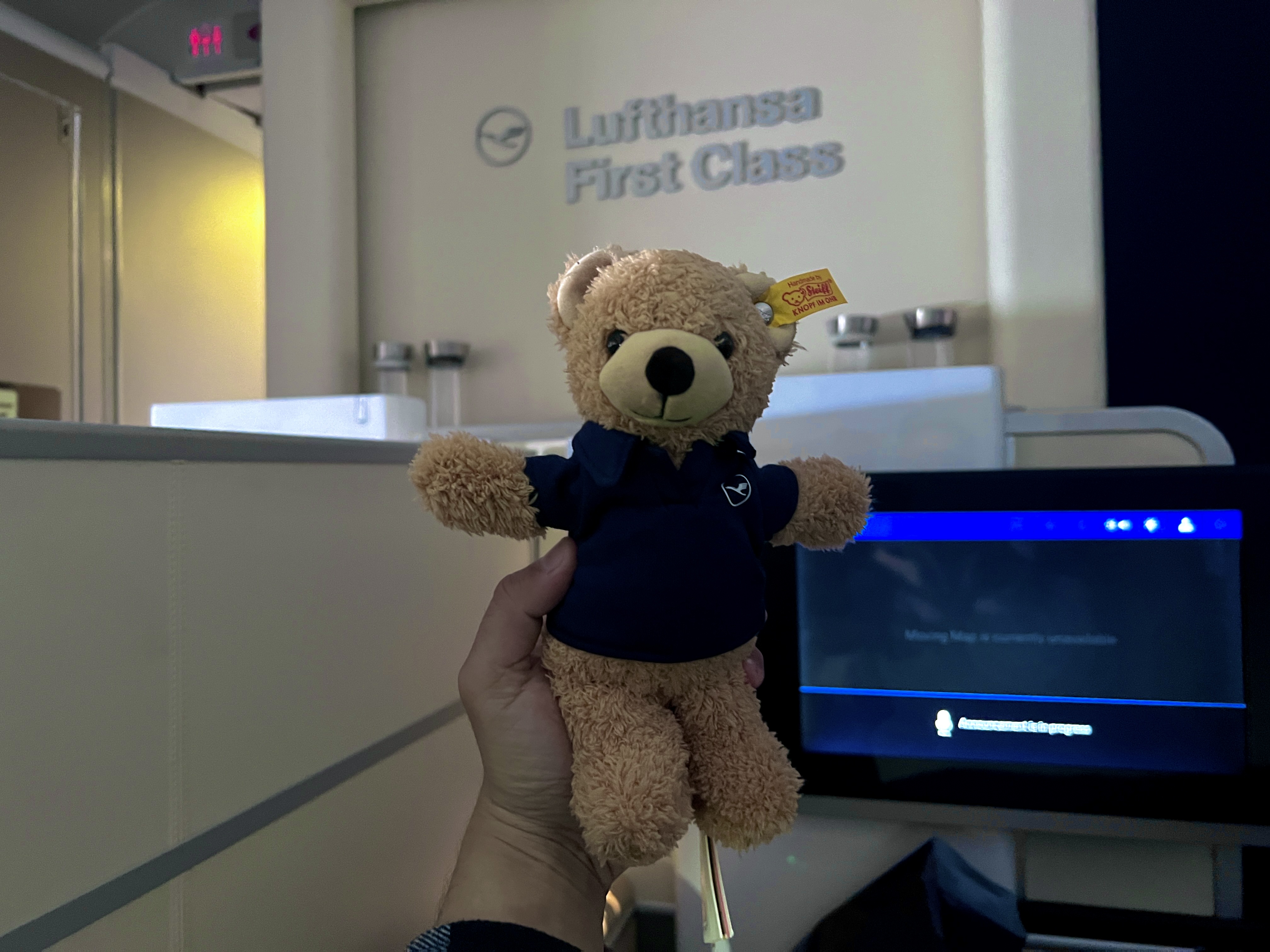 LH F A346 LH teddy bear
