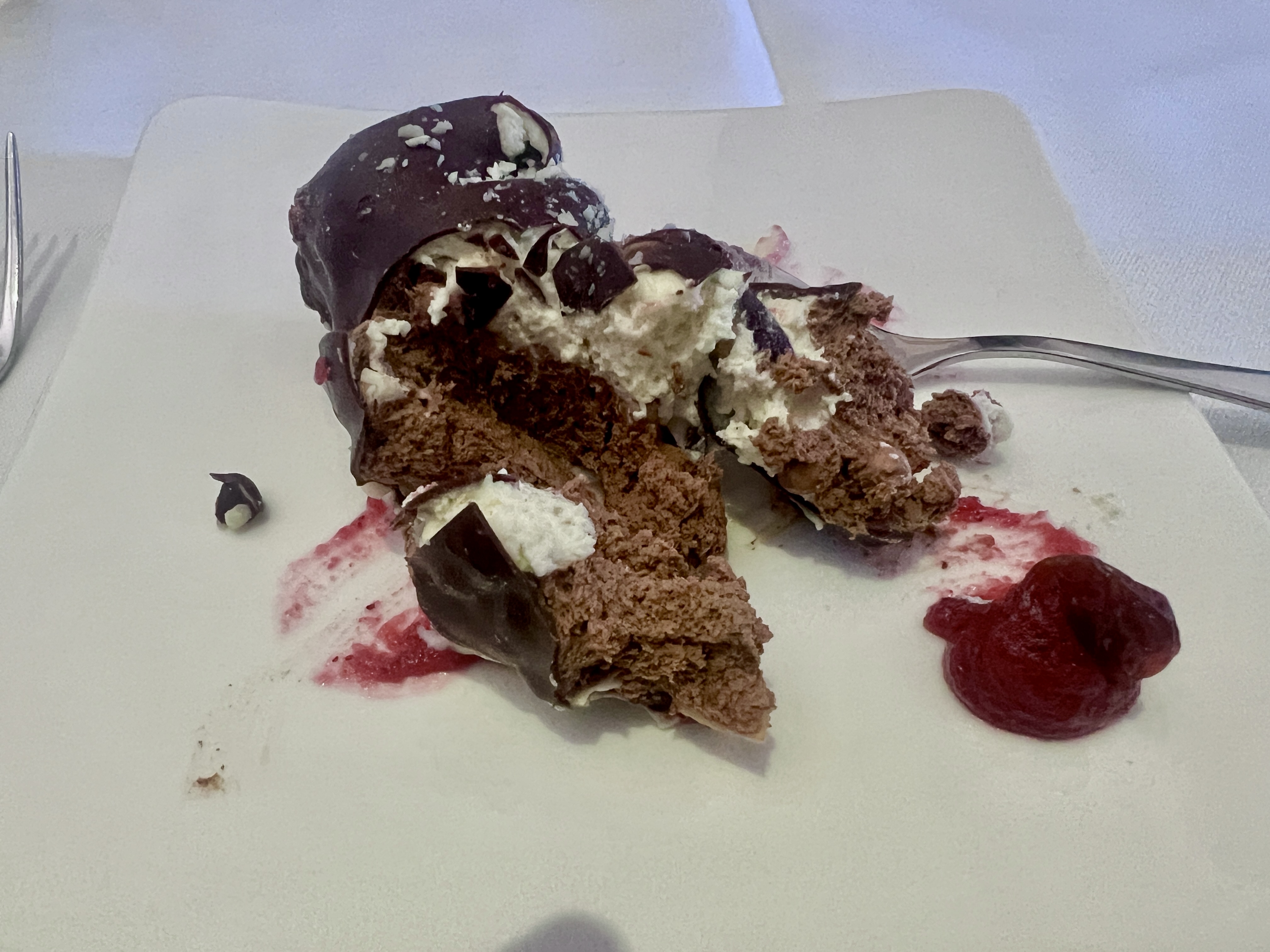 LH F A346 dessert eaten