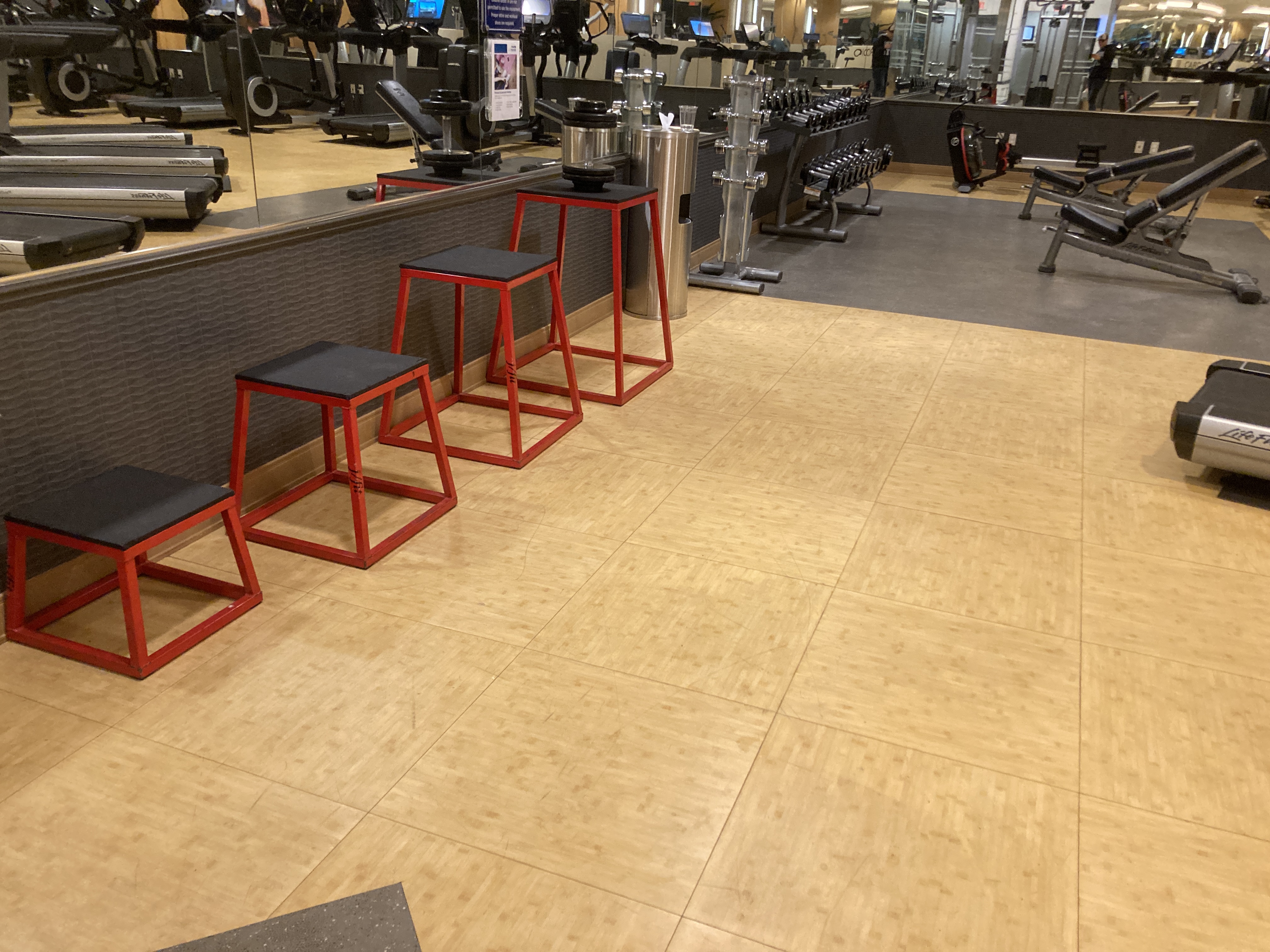 Marriotts Grand Chateau Las Vegas gym jump boxes