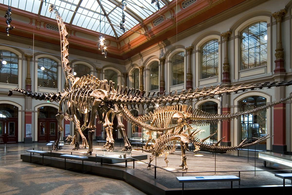 Museum fur Naturkunde