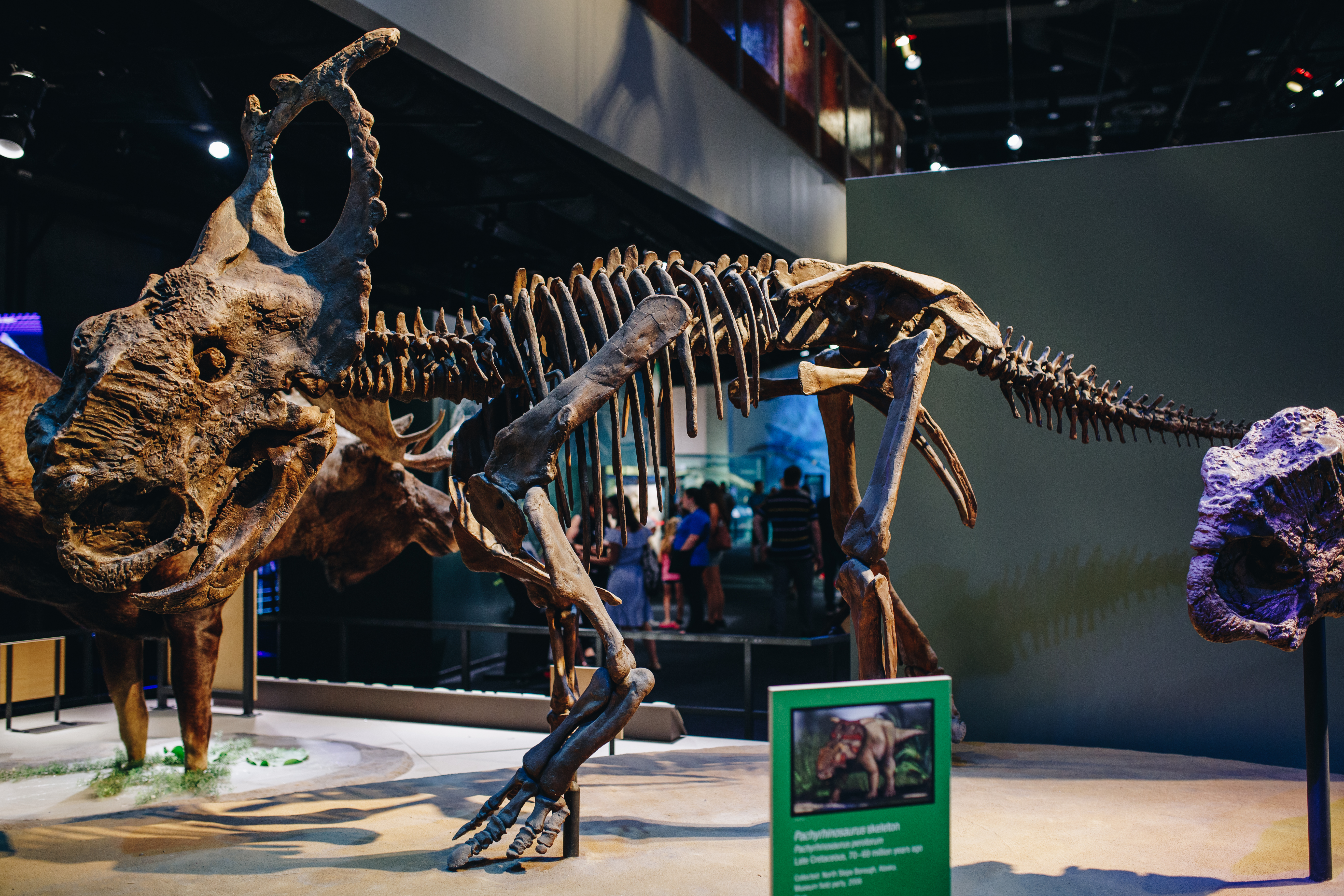 Perot Museum of Nature and Science Perot Museum of Nature and Science