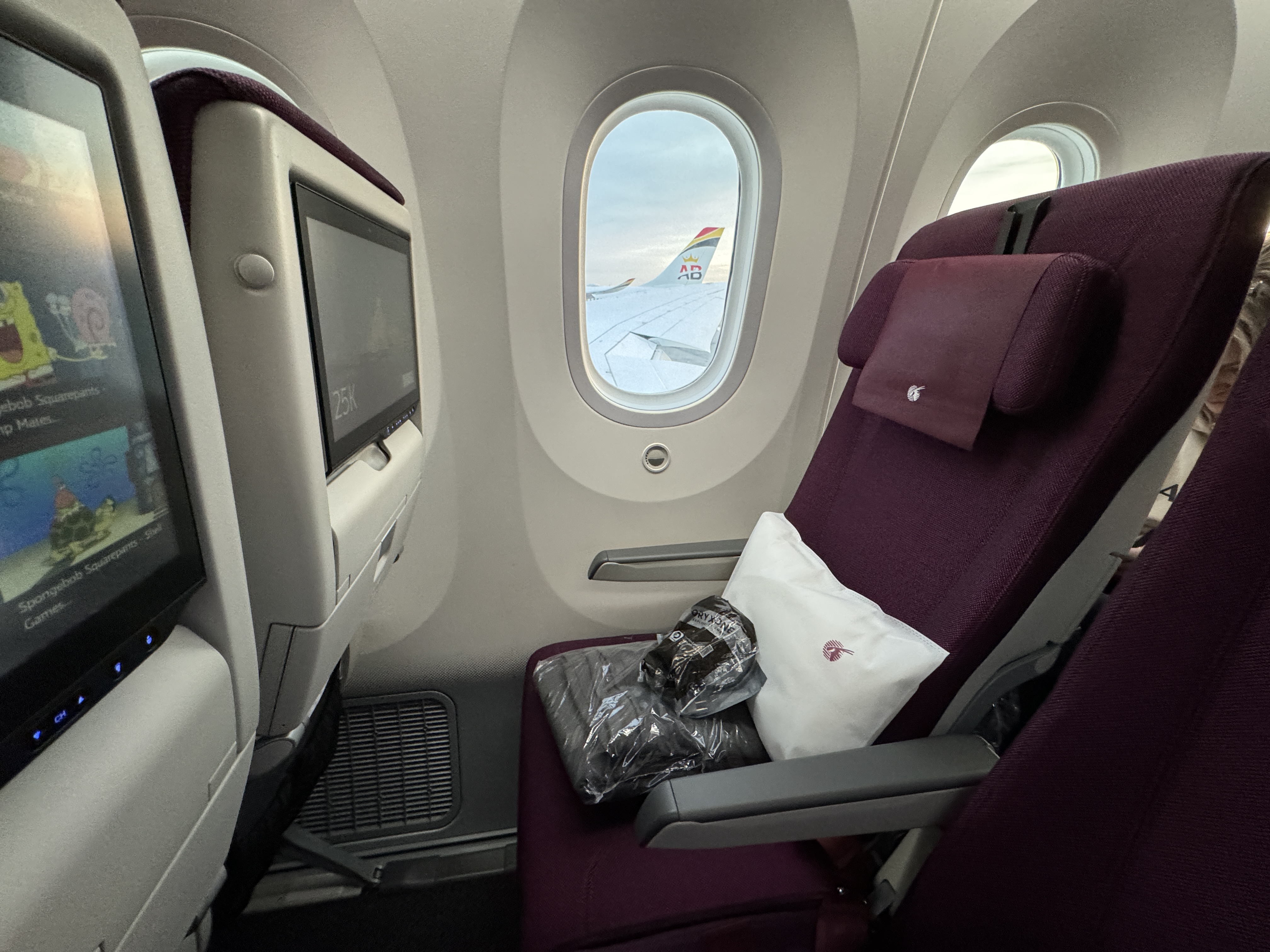 Qatar Airways economy WAW DOH 787 view out window Qatar Airways economy WAW DOH 787 view out window