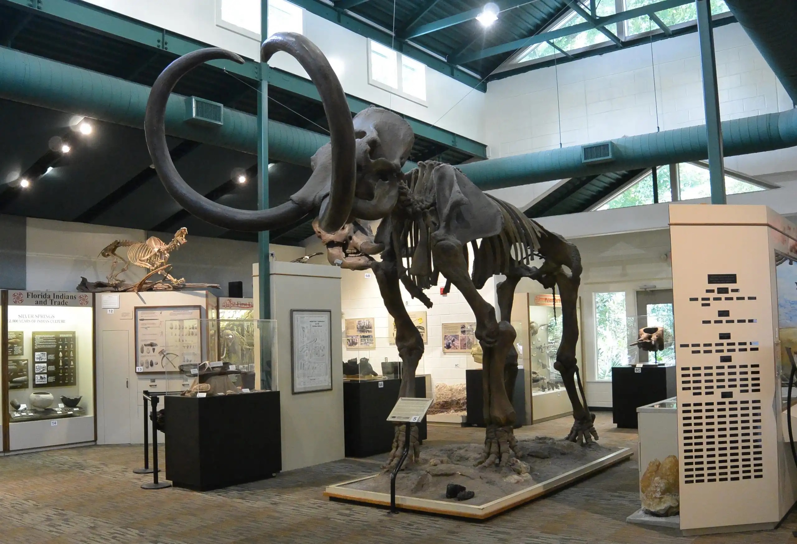 Silver River Museum and Environmental Education Center