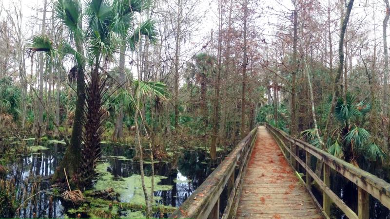 Silver Springs State Park