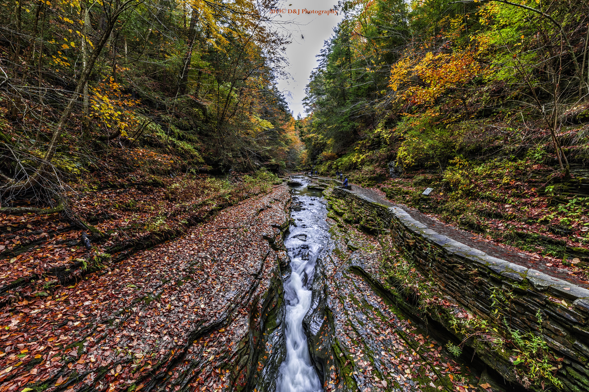 Watkins Glen State Park Fall Foliage